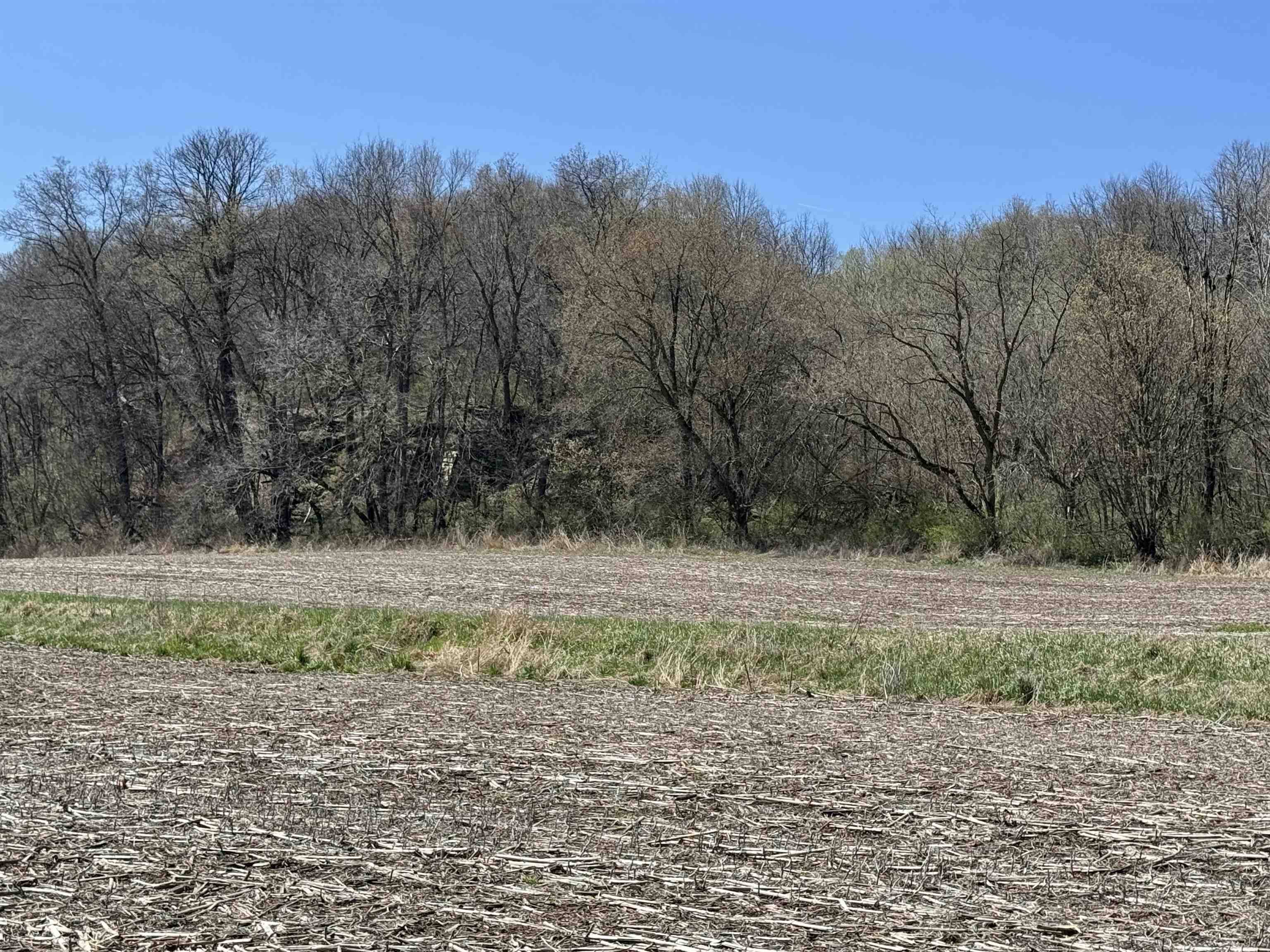 Blanchardville, WI 53516,30 ac 3065 W Olson Street