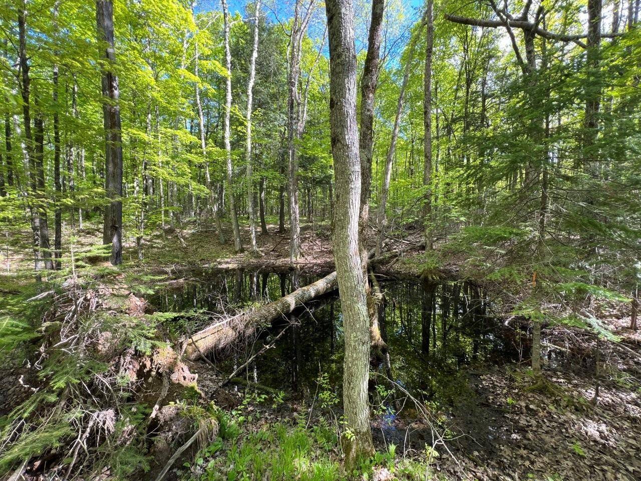 Other, WI 54463,19.95 Acres Old Elcho Road
