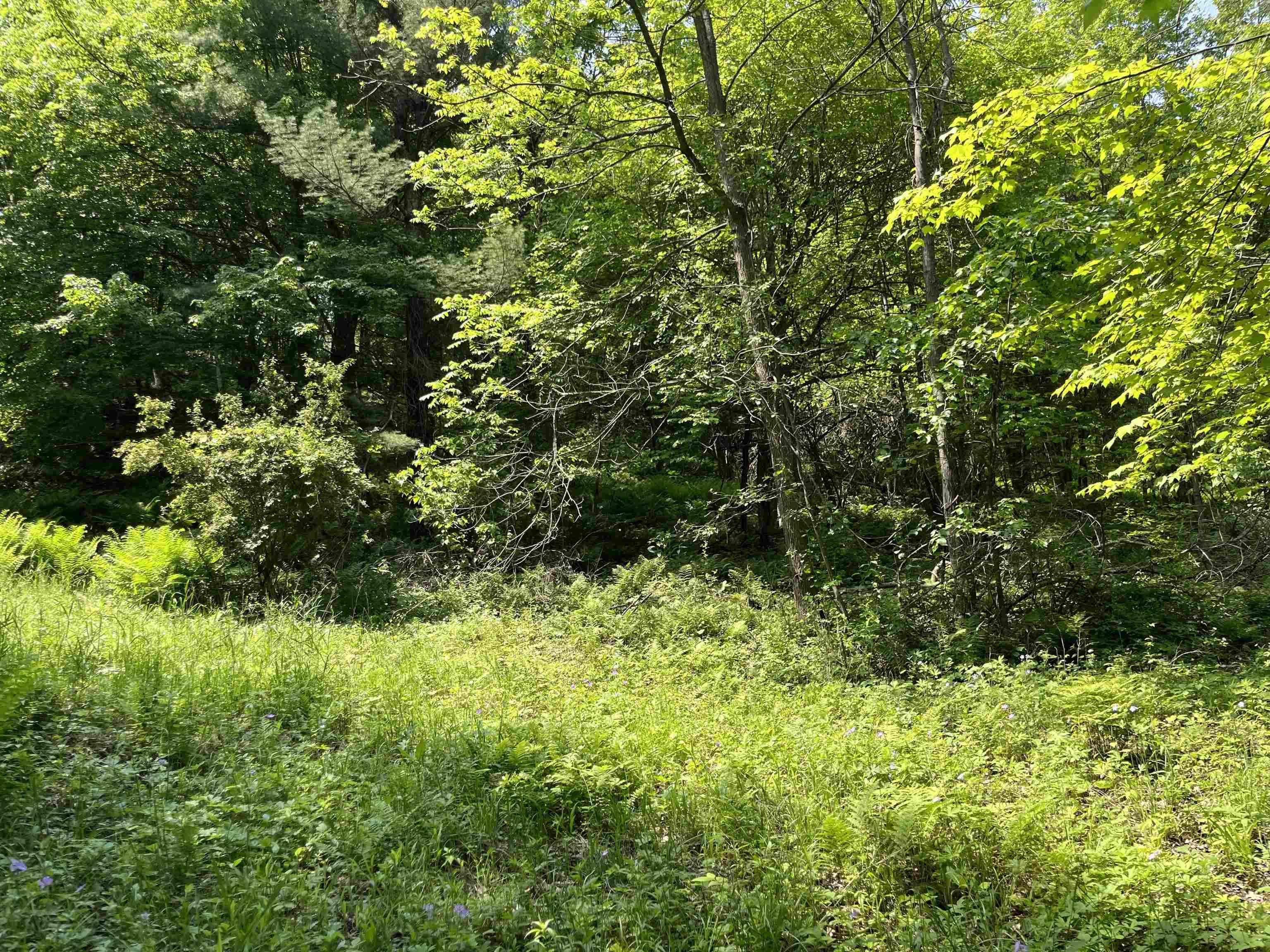 New Lisbon, WI 53950,W9539 Jacobsen Road