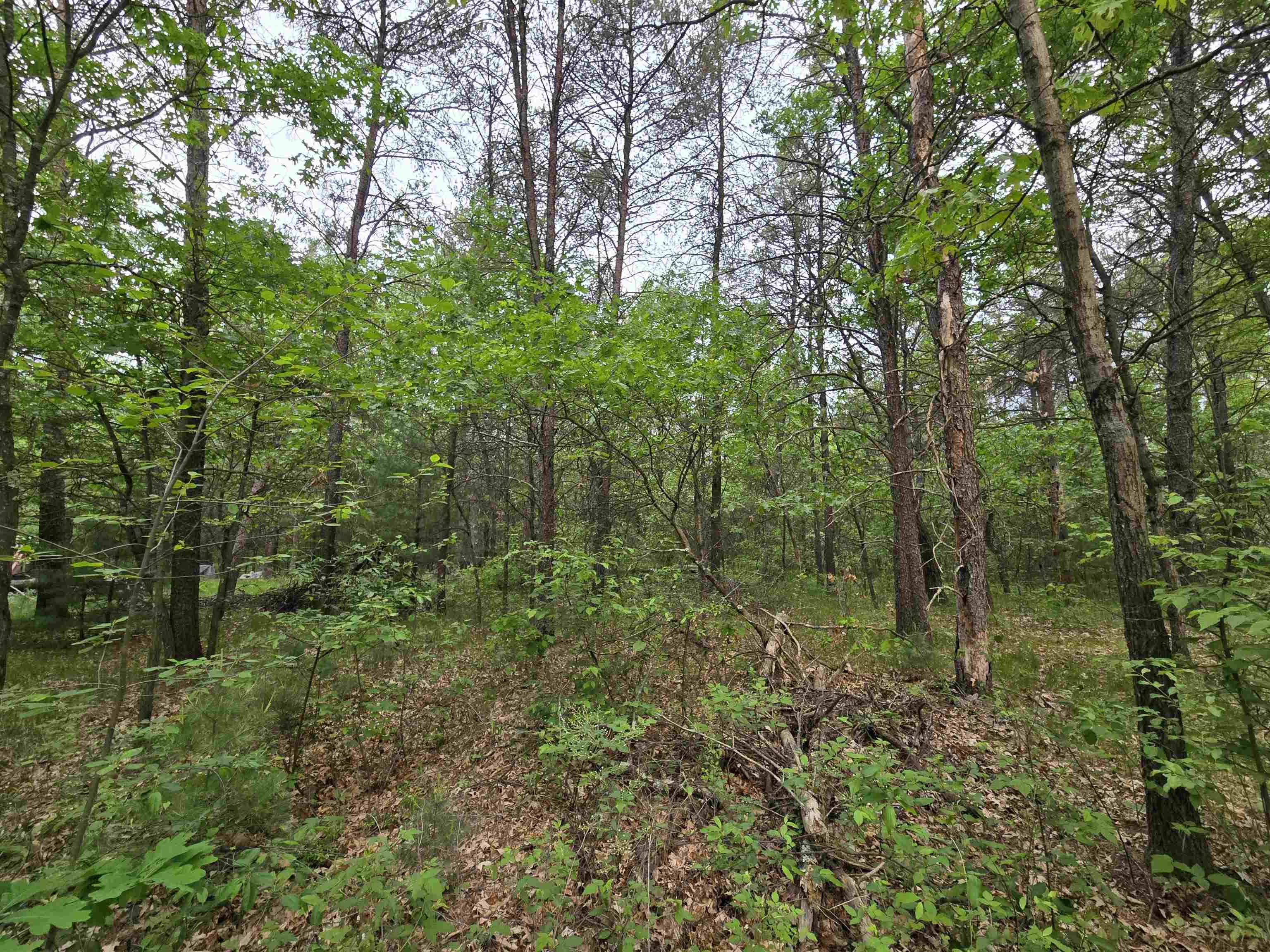 Necedah, WI 54646,Lot 1 16th Avenue