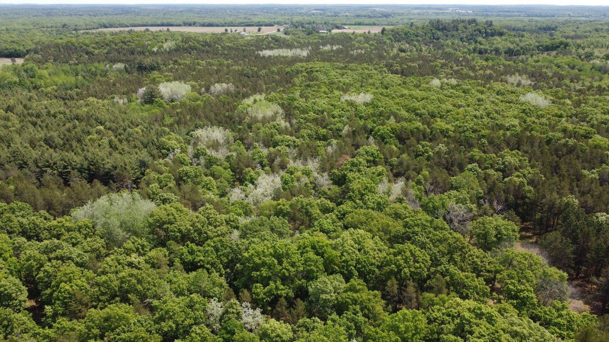 Lyndon Station, WI 53944,Lot 38 Nina Drive