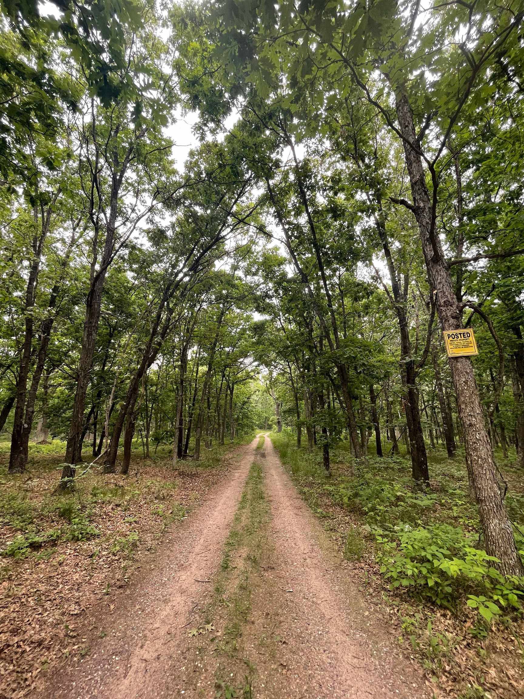 Lyndon Station, WI 53944,Lot 38 Nina Drive