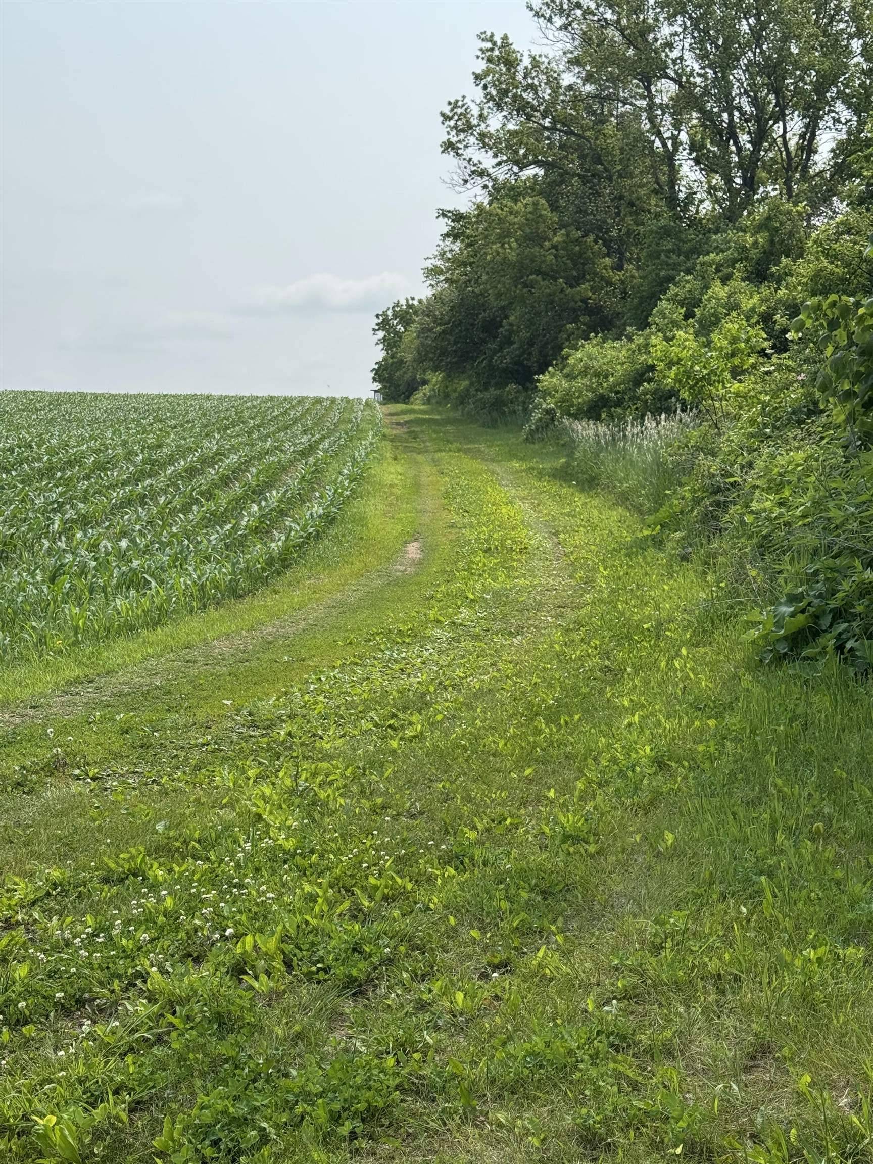 Monticello, WI 53570,14.93 Ac County Road J