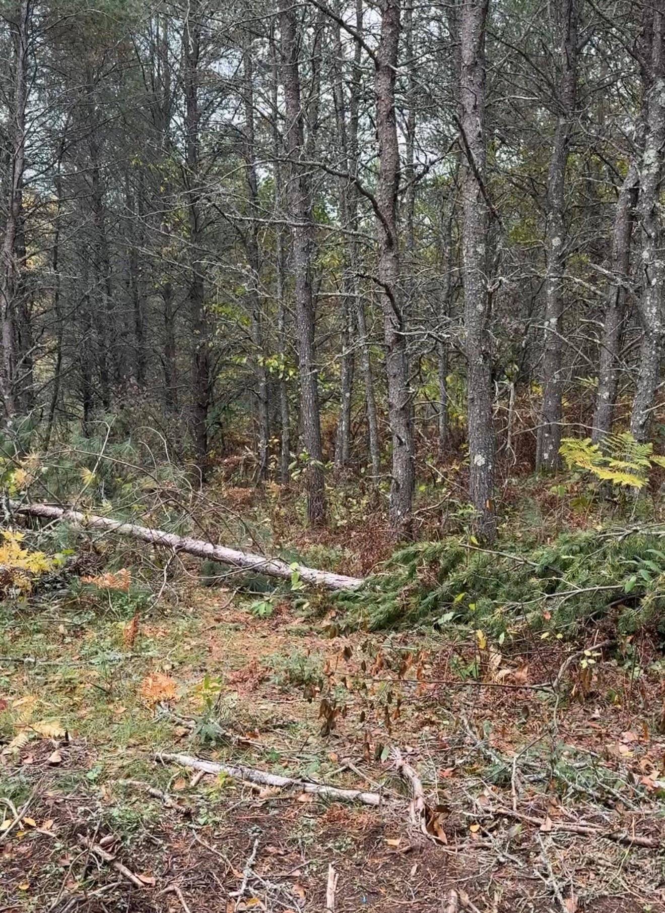 Tomahawk, WI 54487,15 Wood Road