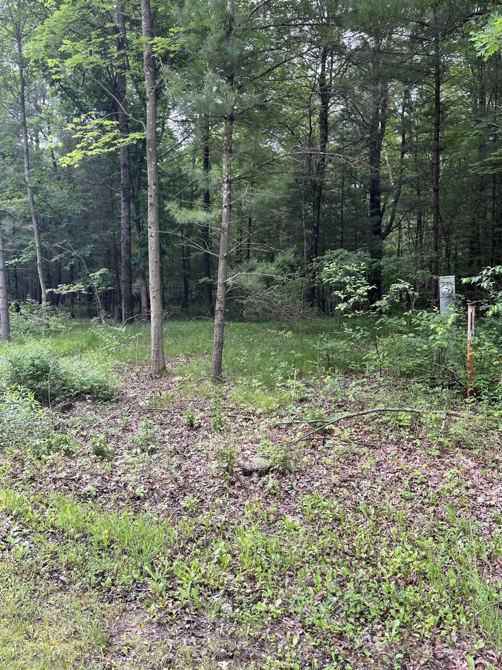 Wisconsin Dells, WI 53965,1365 Fur Court