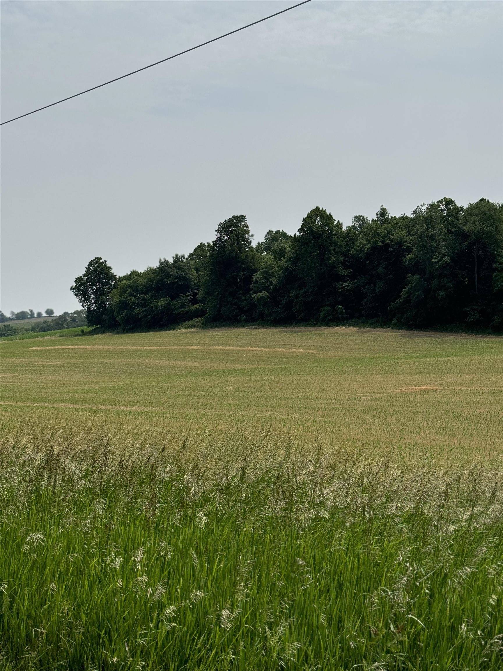 Monticello, WI 53570,Tucker Road