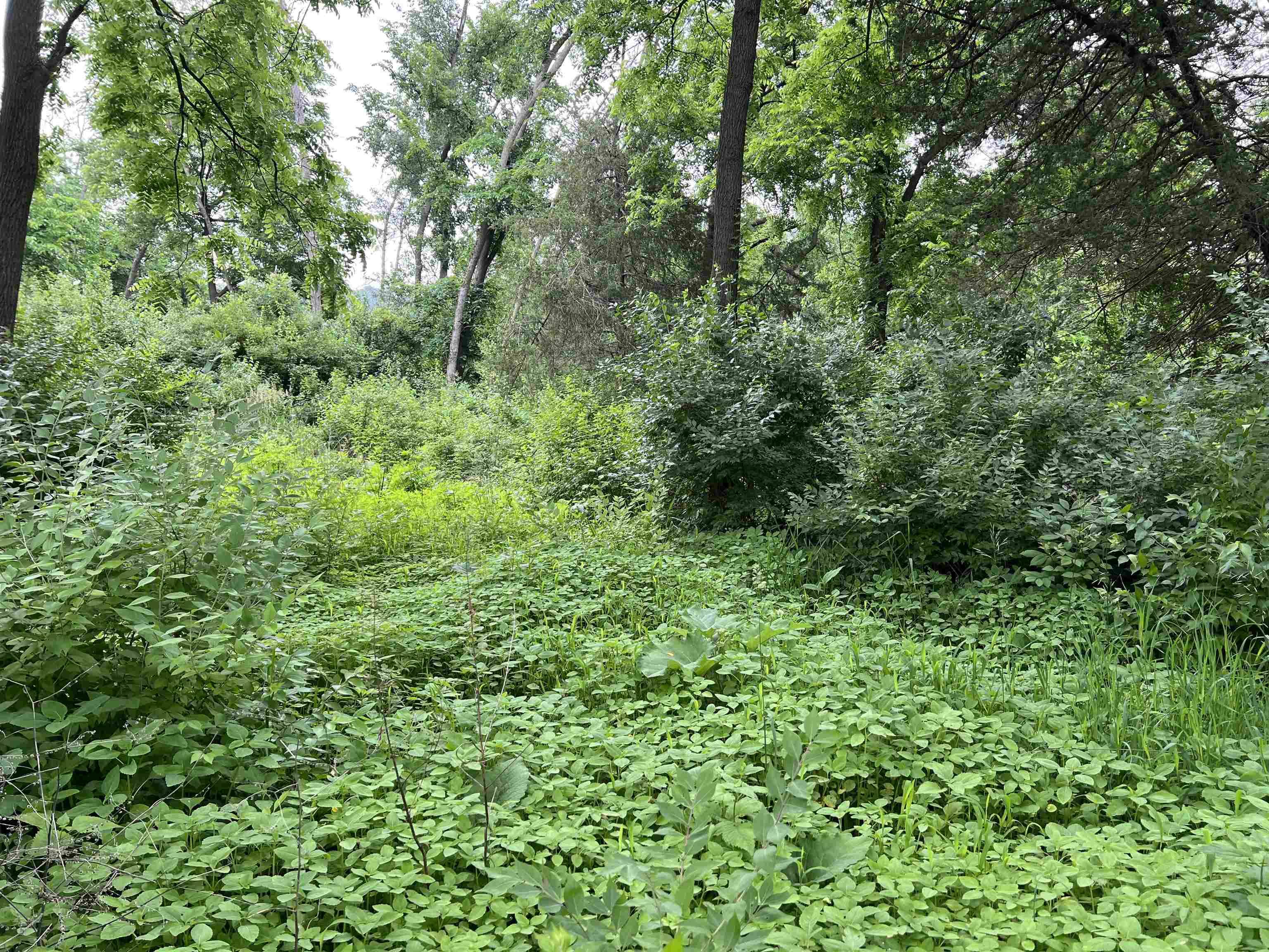 Lone Rock, WI 53556,30933 Slow Lane