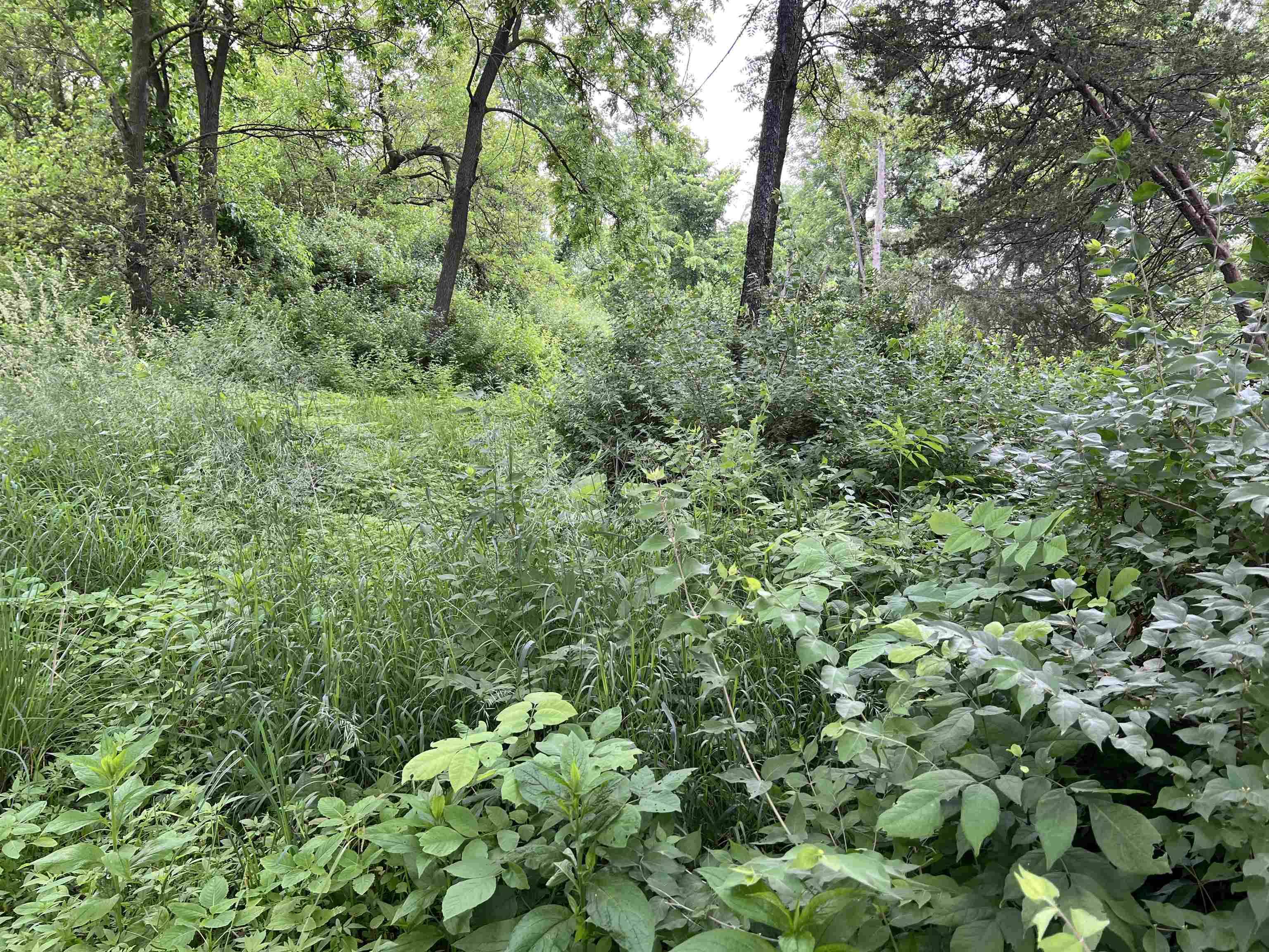 Lone Rock, WI 53556,30933 Slow Lane