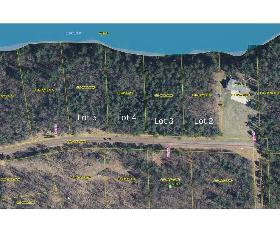 Black River Falls, WI 54615,Lot 2 Betty Lane