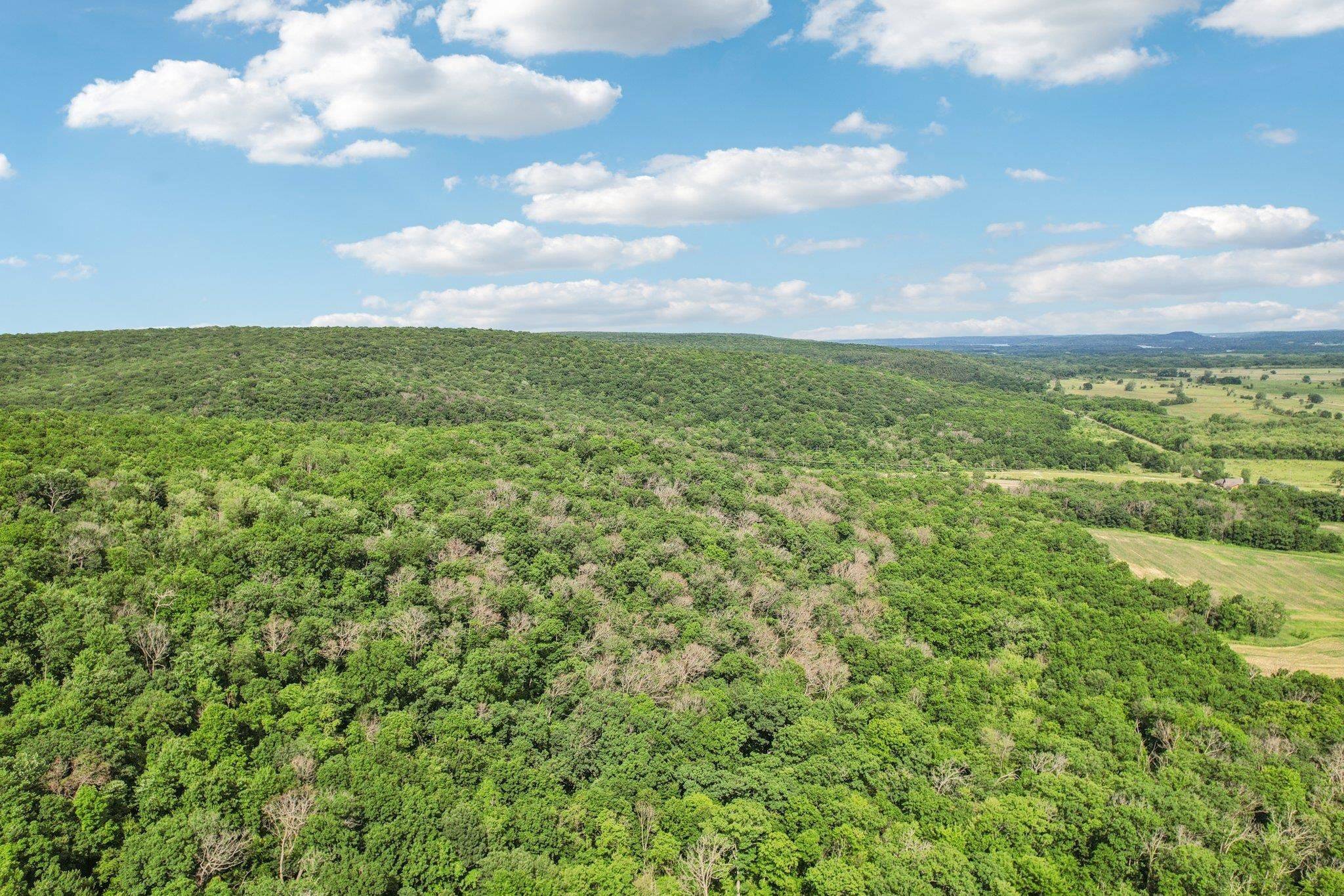 Baraboo, WI 53913,140 Ac Highway 12