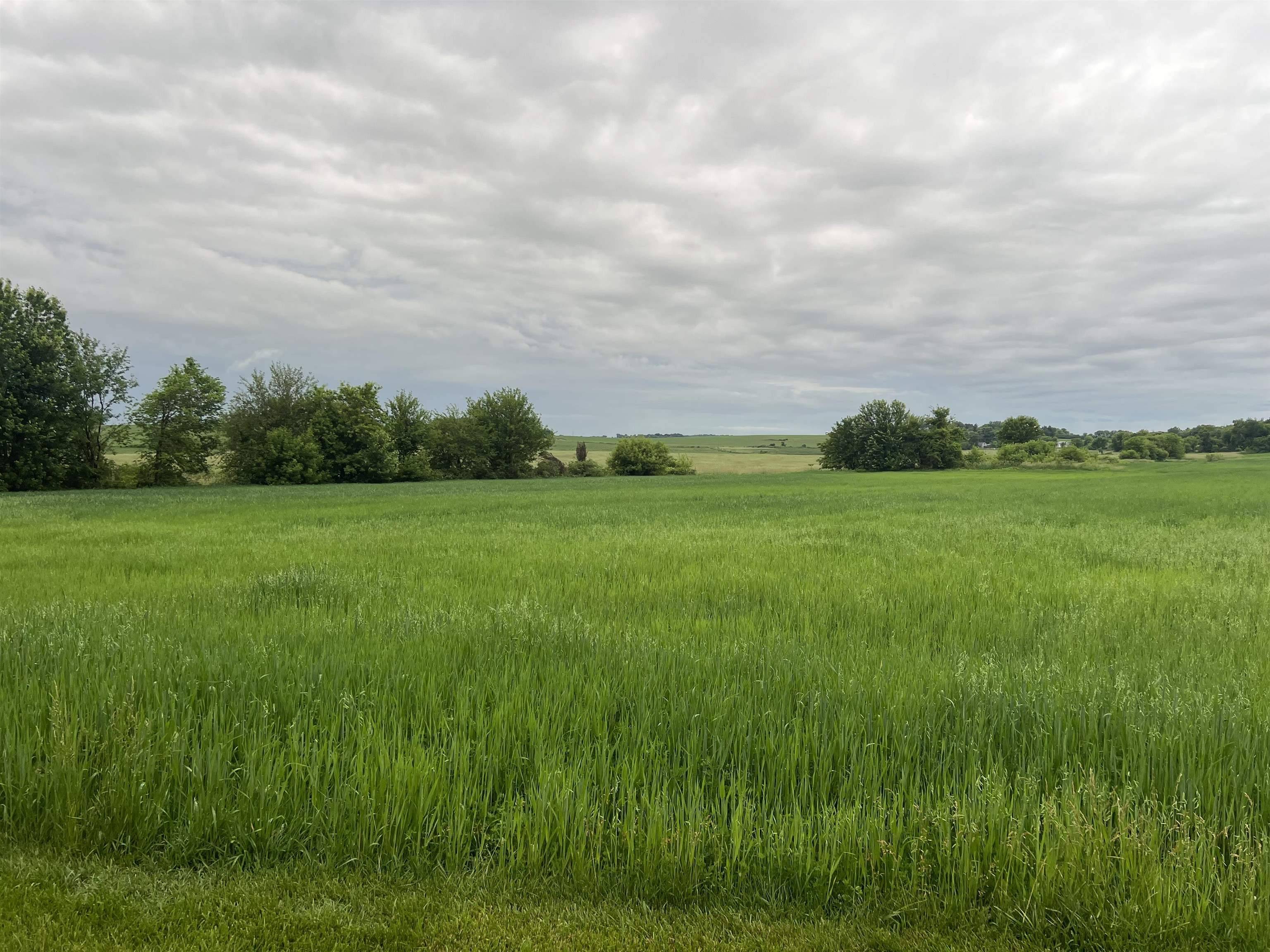 Reeseville, WI 53579,20.37 Ac S Main Street