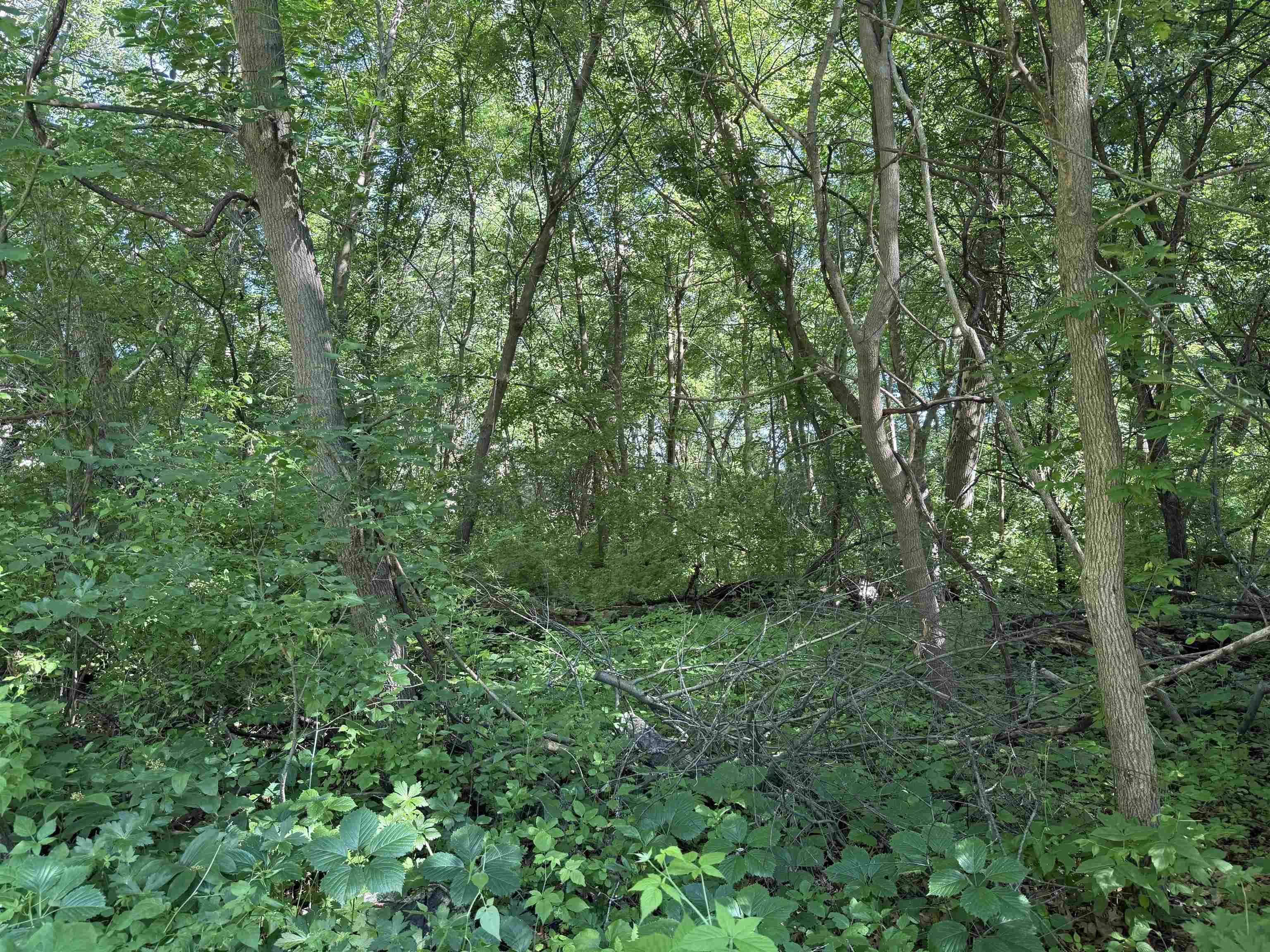 Clinton, WI 53525,Lot 12 Foxhollow Road