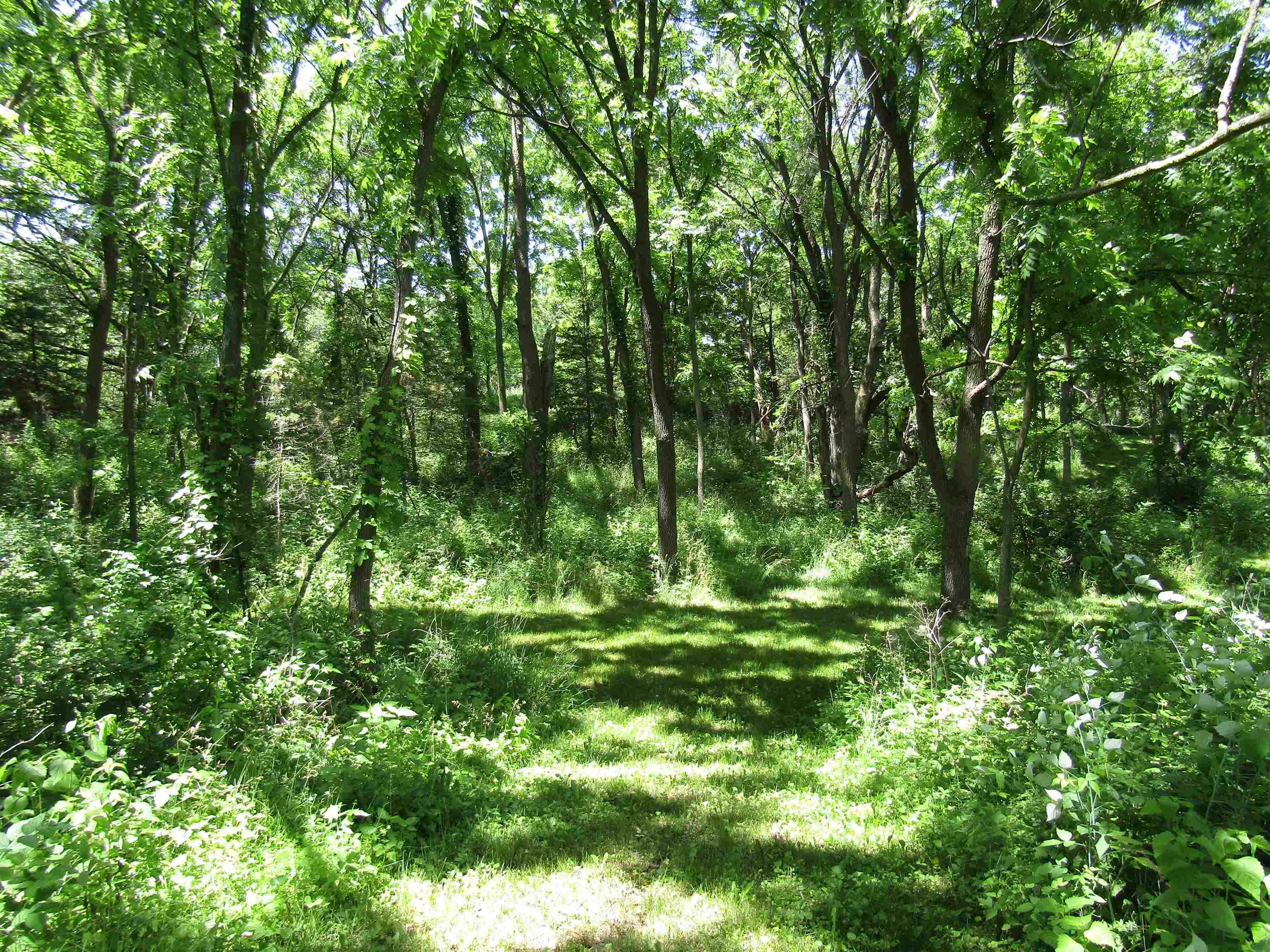 Milton, WI 53563,4 acres +- Glacier View Court