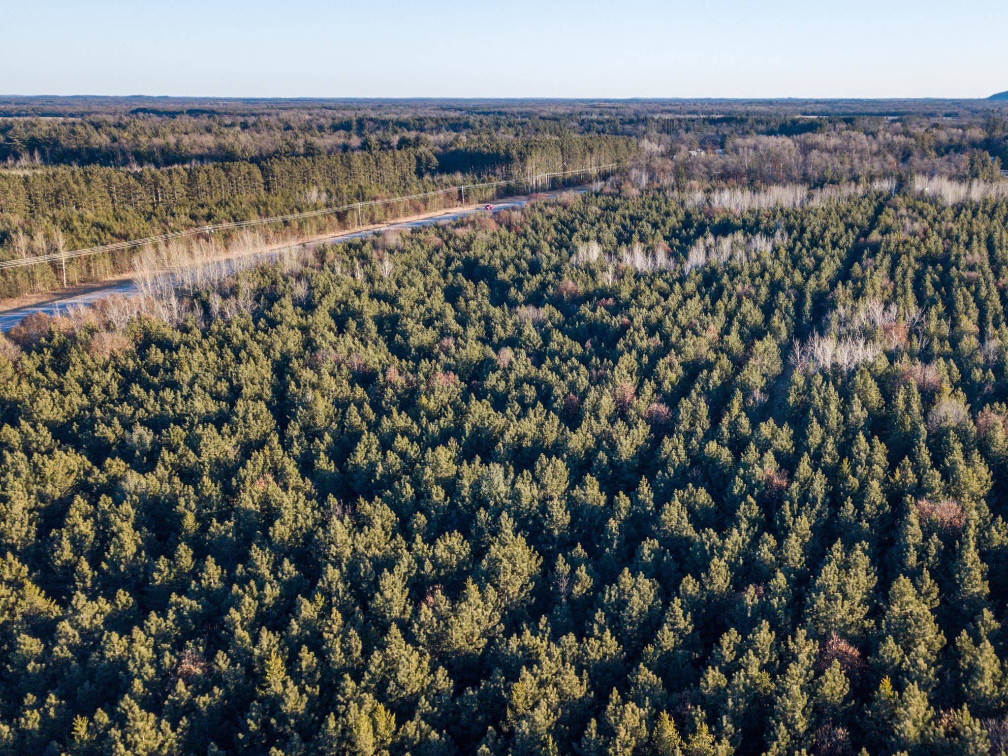 Friendship, WI 53934,Lot 3 11th Drive