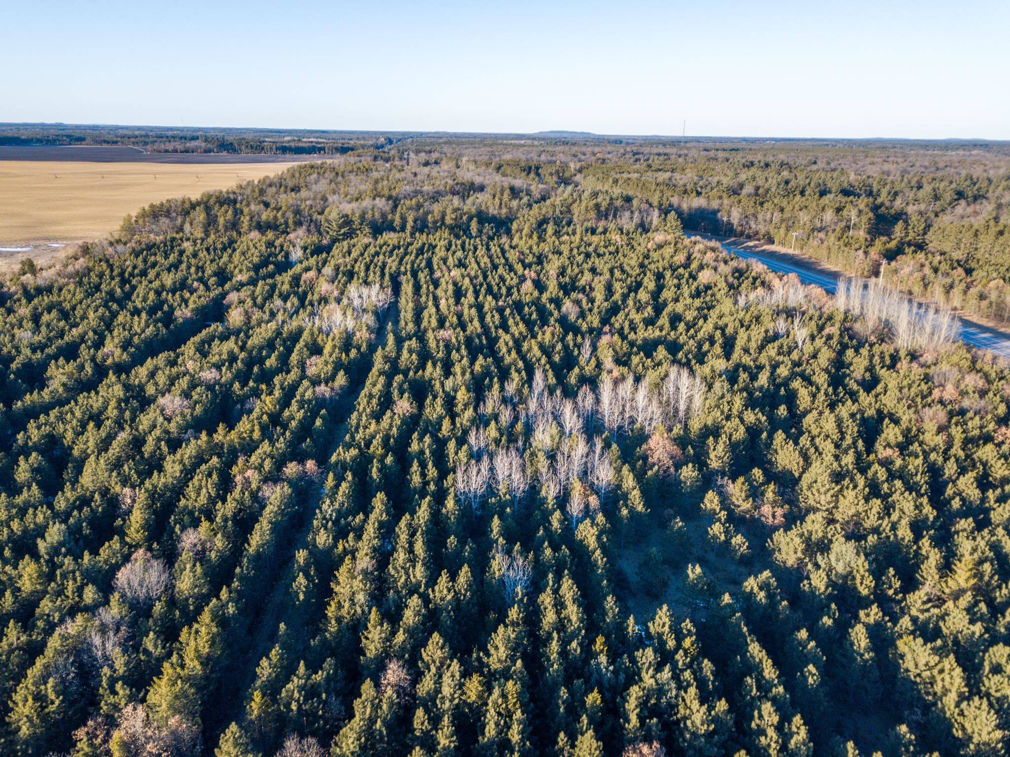 Friendship, WI 53934,Lot 3 11th Drive