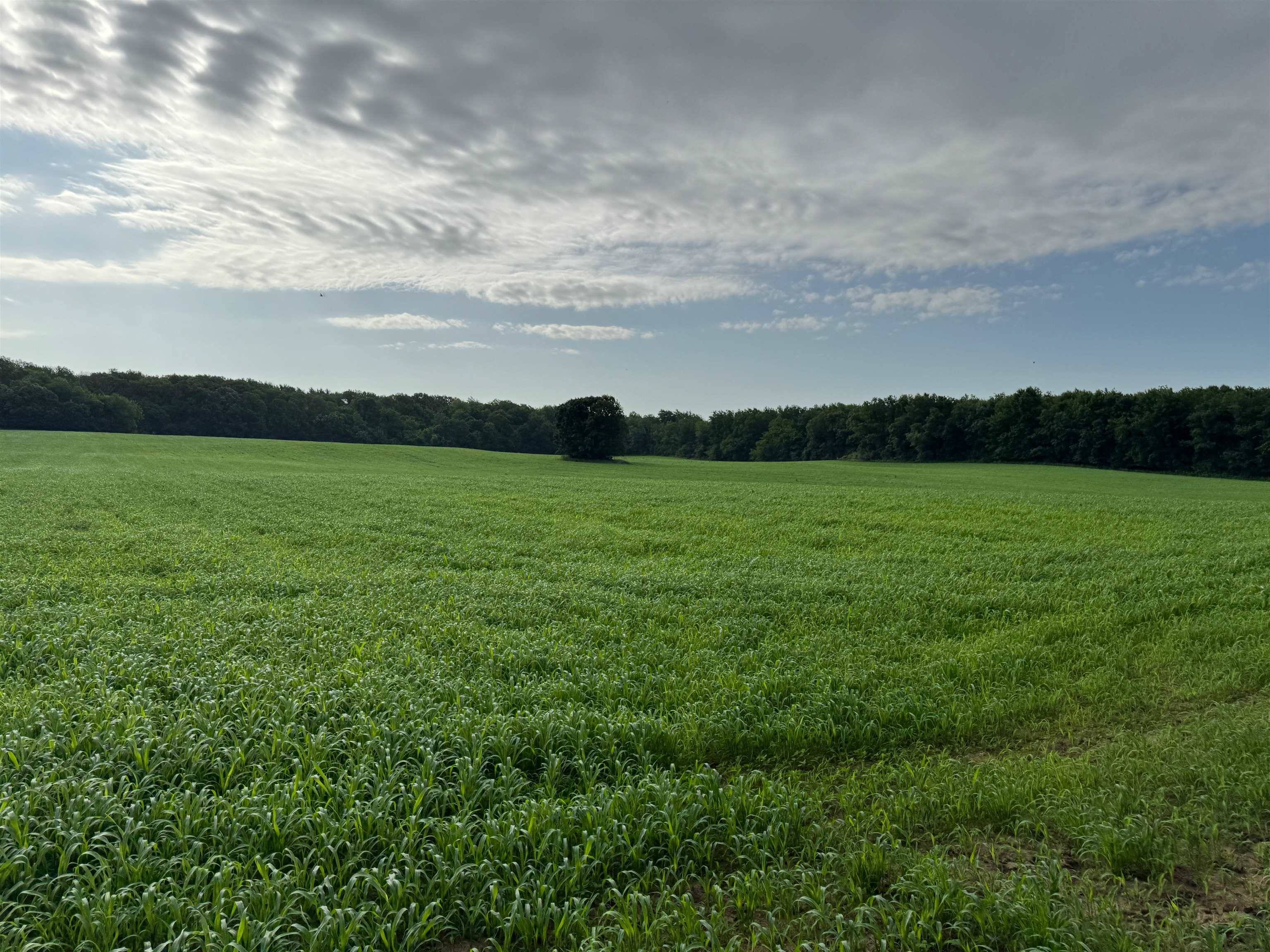 Baraboo, WI 53913,80.68 Acres Fox Hill Road