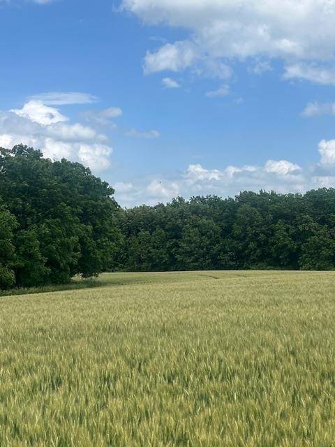 Bagley, WI 53801,Koecke Lane