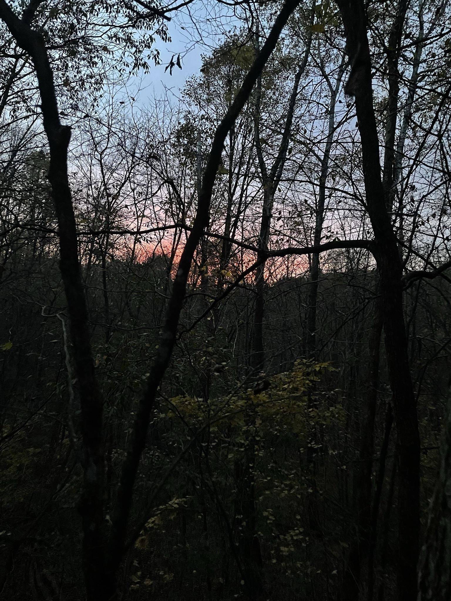 Richland Center, WI 53913,14.66 Acres Sand Hill Drive