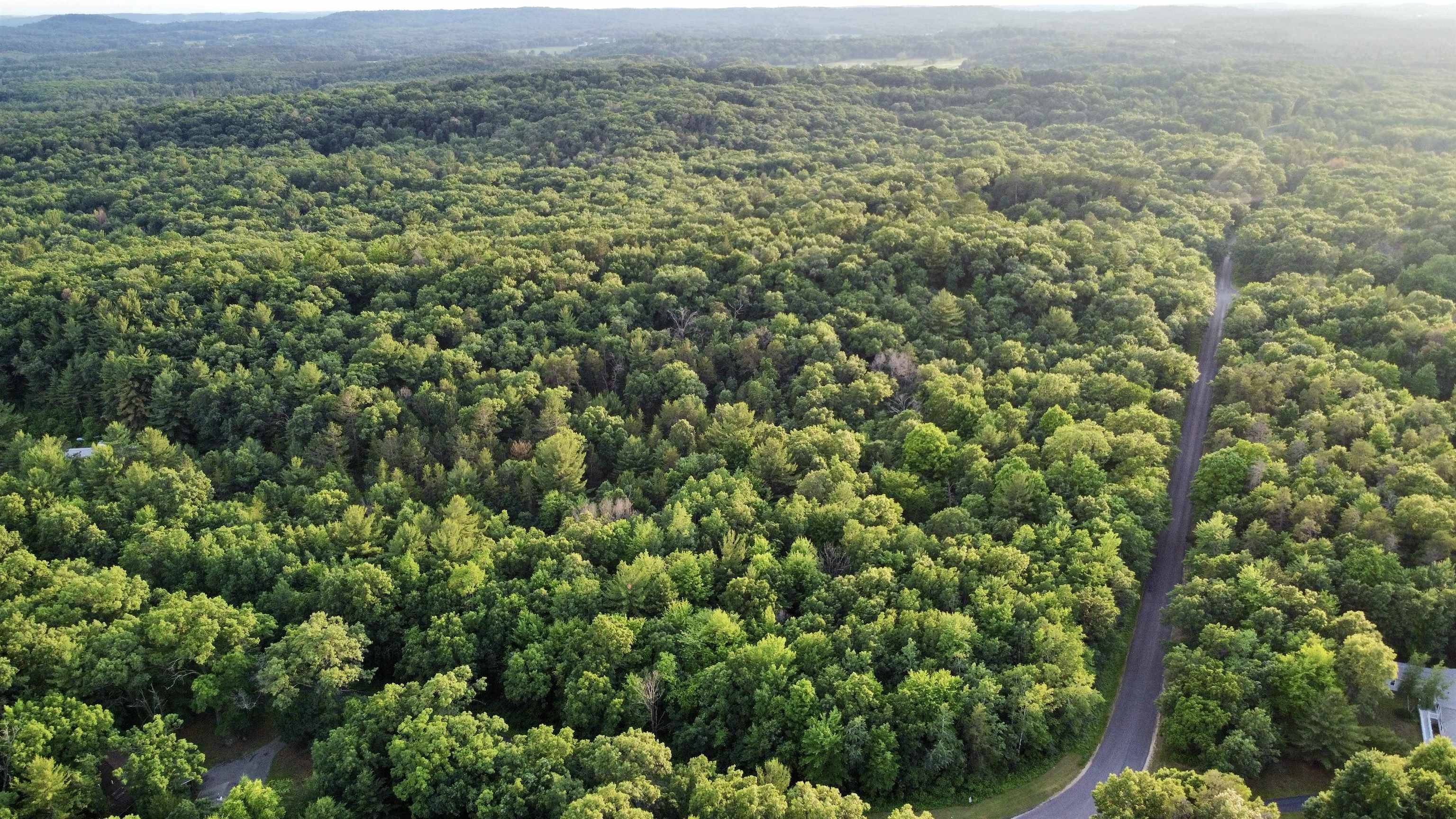 Wisconsin Dells, WI 53965,6.54 Ac Arrowhead Road