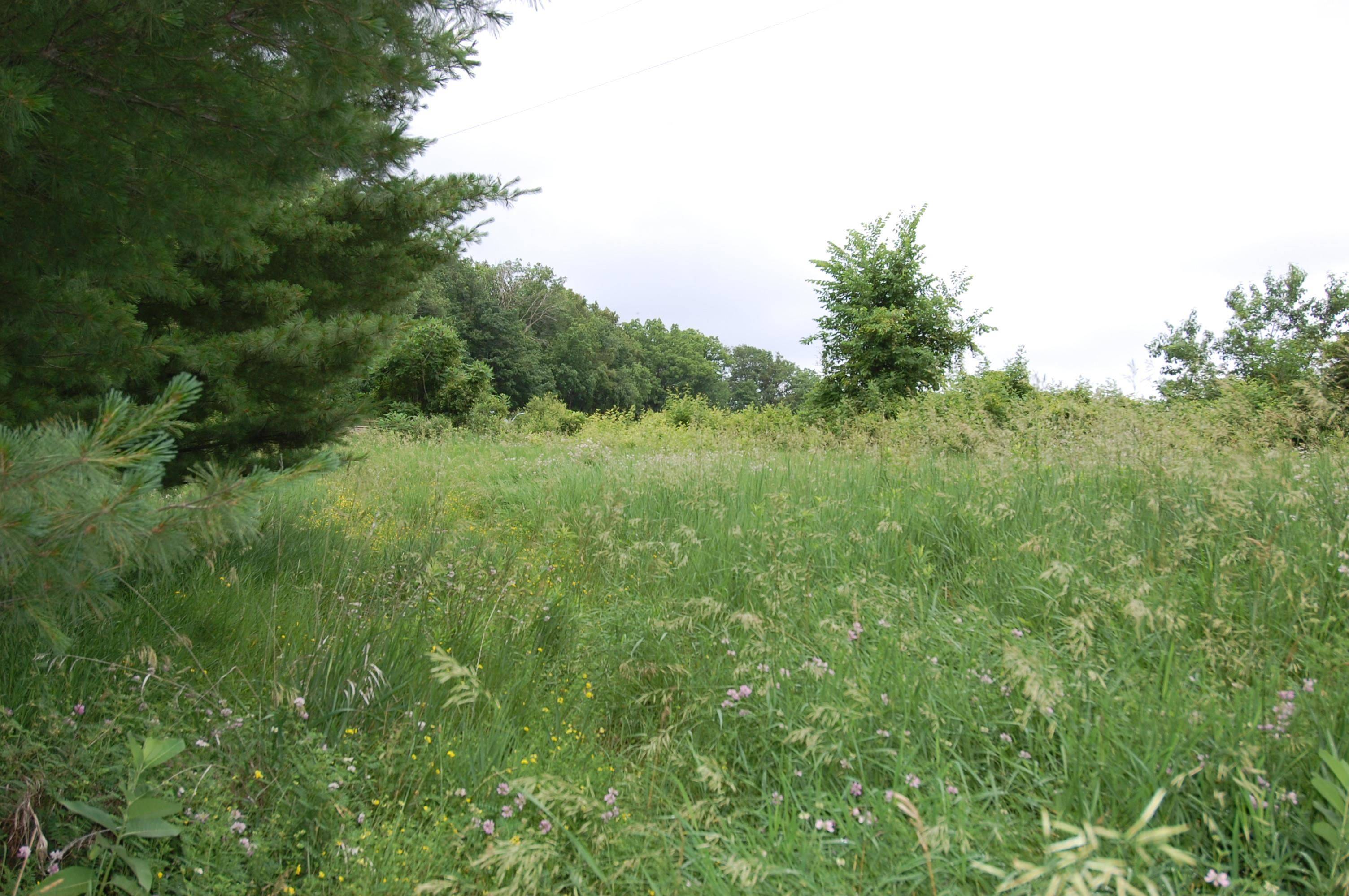 Muscoda, WI 53573,11 Eagle Cave Road