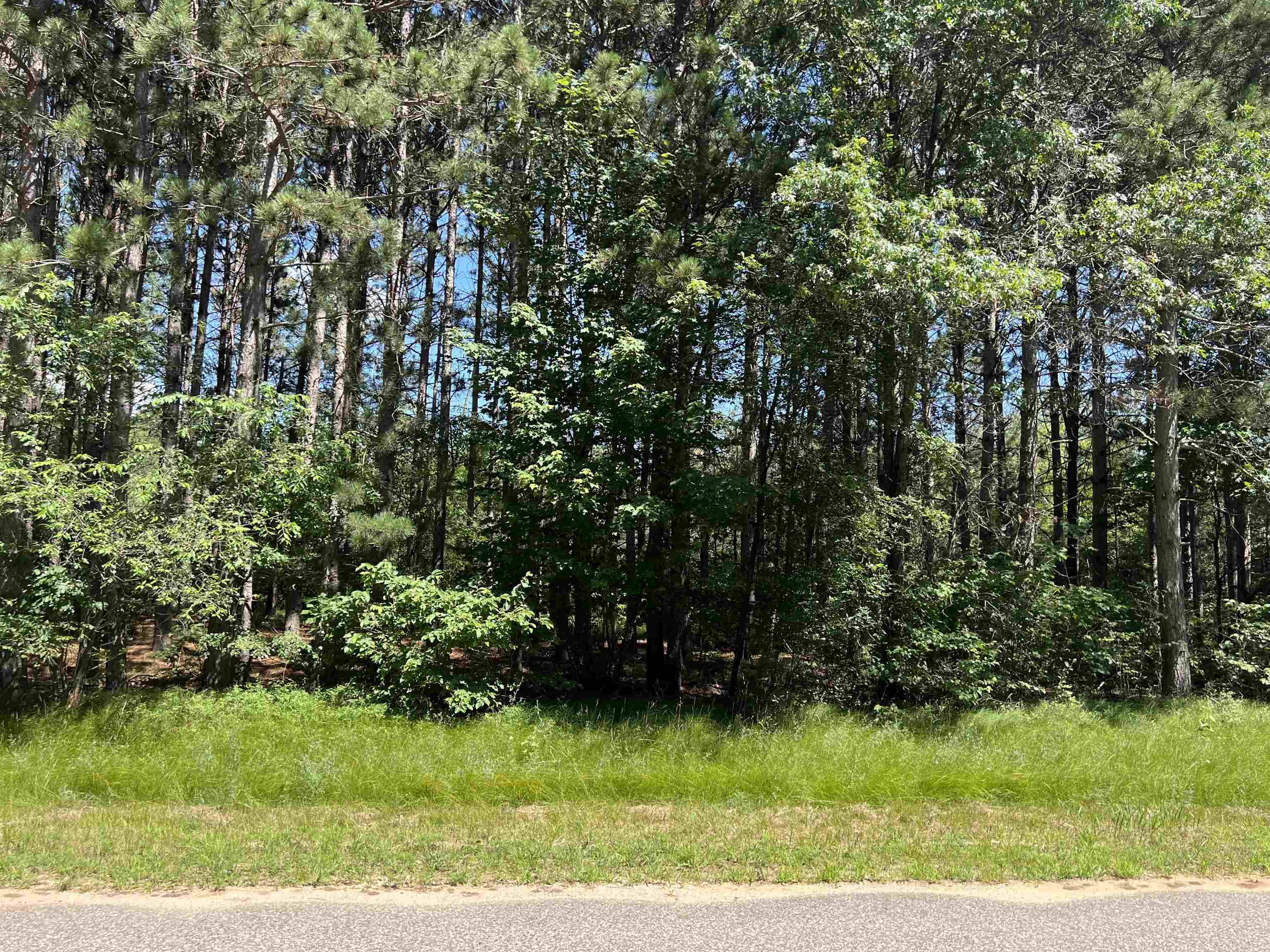 Necedah, WI 54666,2.12 Acres Southview Drive
