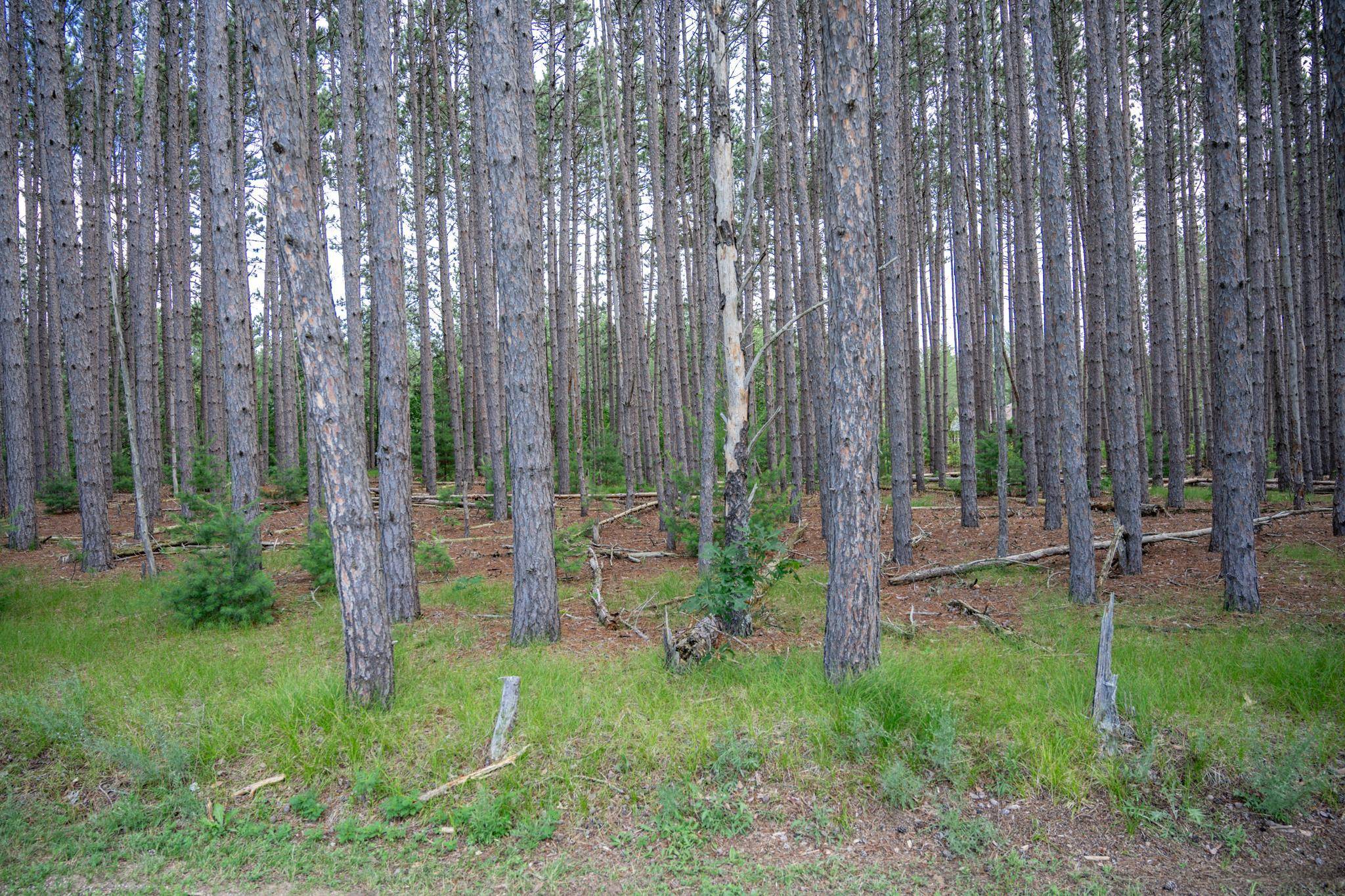 New Lisbon, WI 53950,Lot 240 Raven Drive