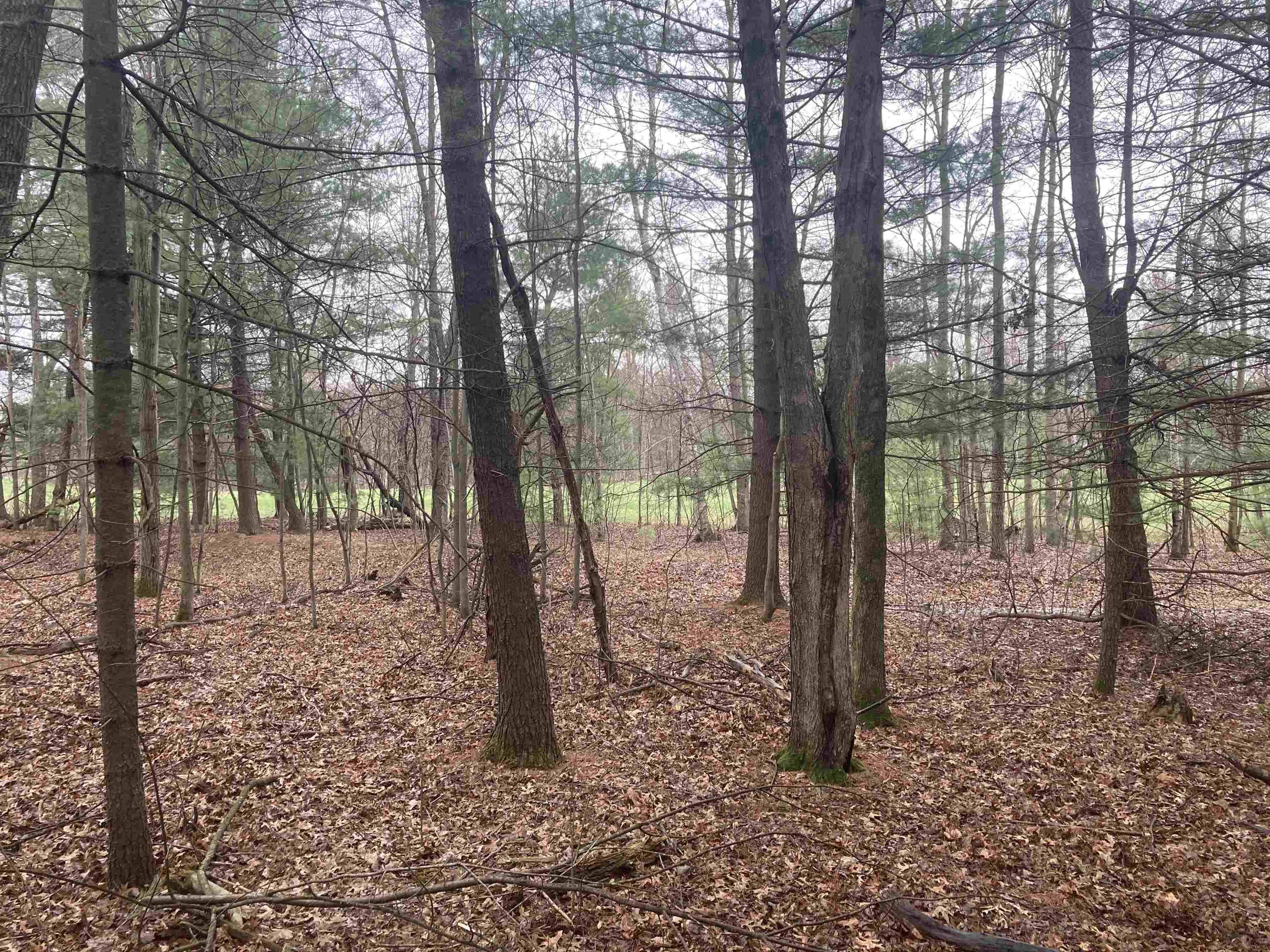 Wisconsin Dells, WI 53965,252 Berry Lane