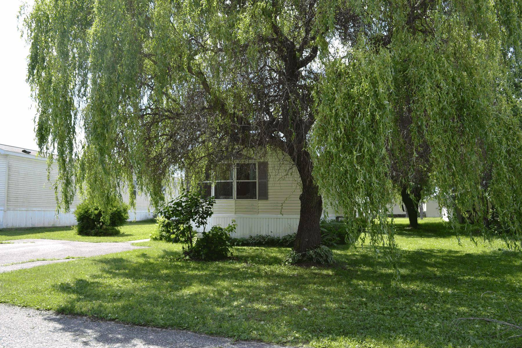 Mauston, WI 53948,134 Attewell   #23 Street