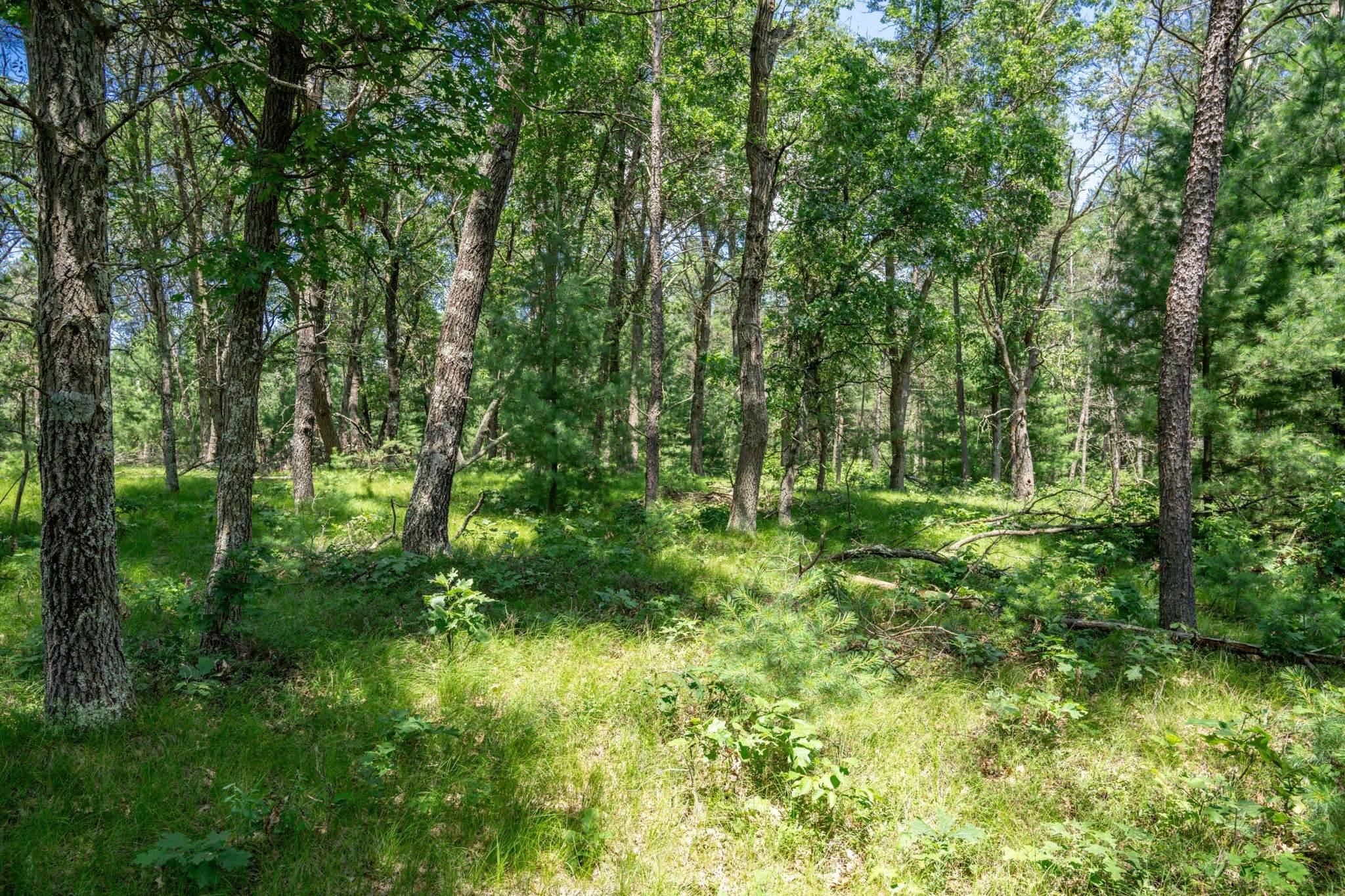 Necedah, WI 54646,Lot 2 E 26th Street