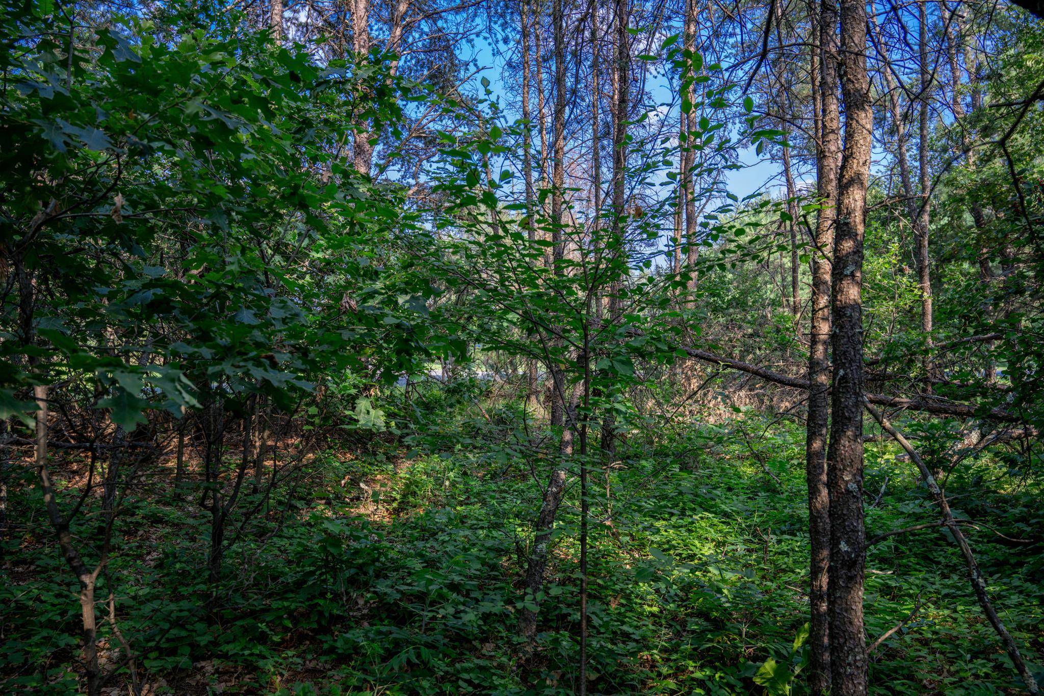New Lisbon, WI 53950,Lot 188 Mallard Drive