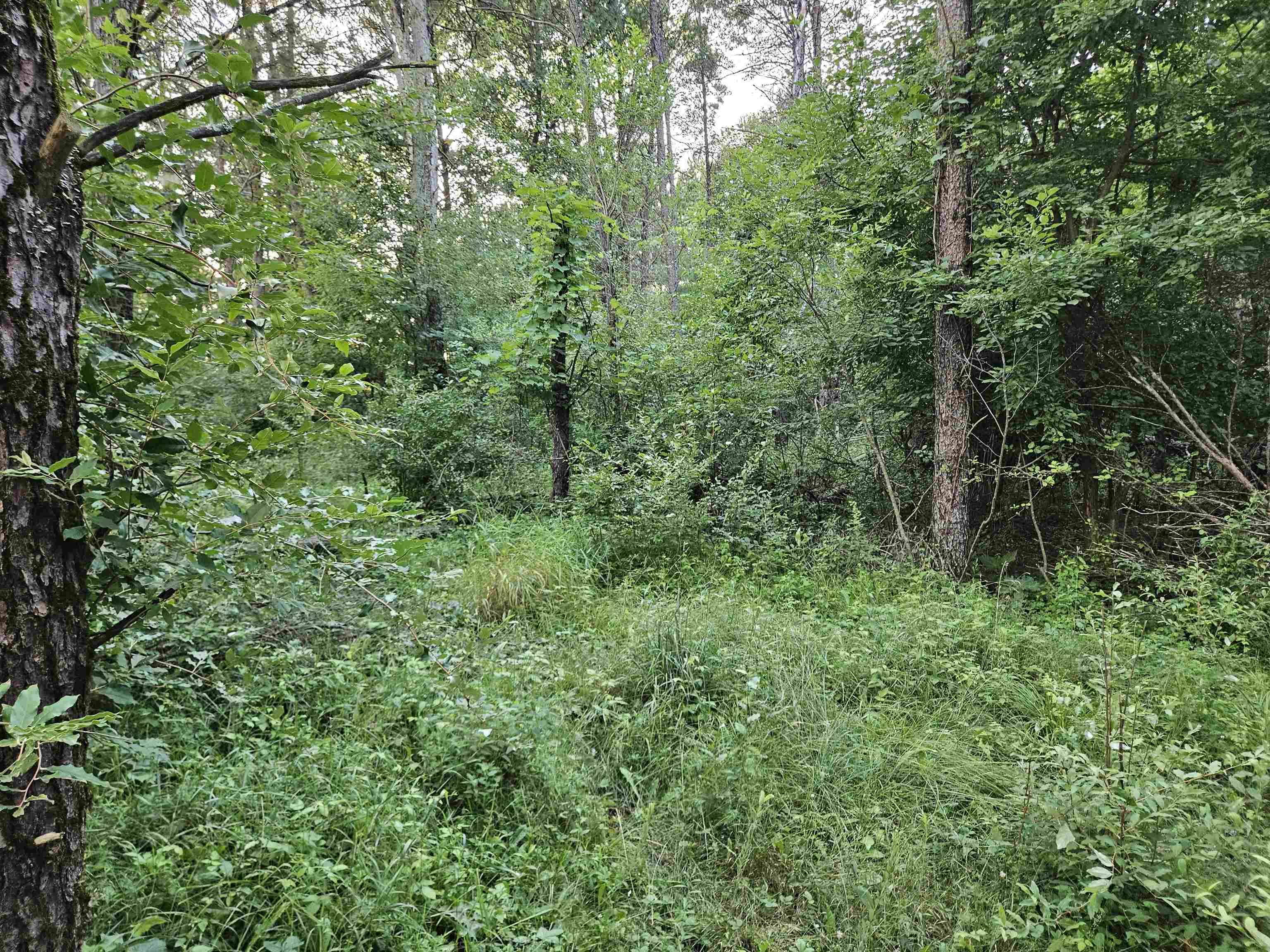 Wisconsin Dells, WI 53965,00 Gale Court