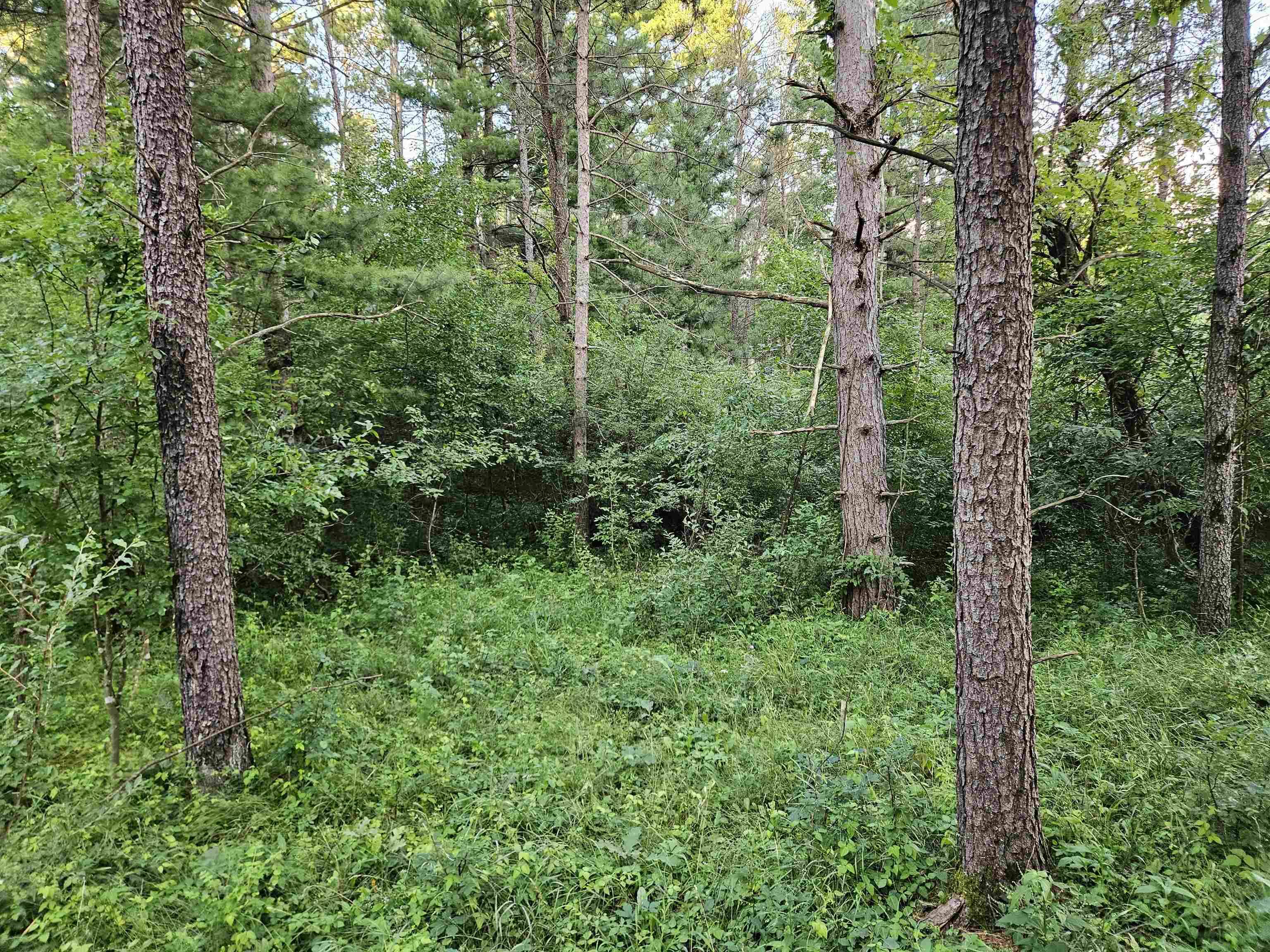 Wisconsin Dells, WI 53965,00 Gale Court