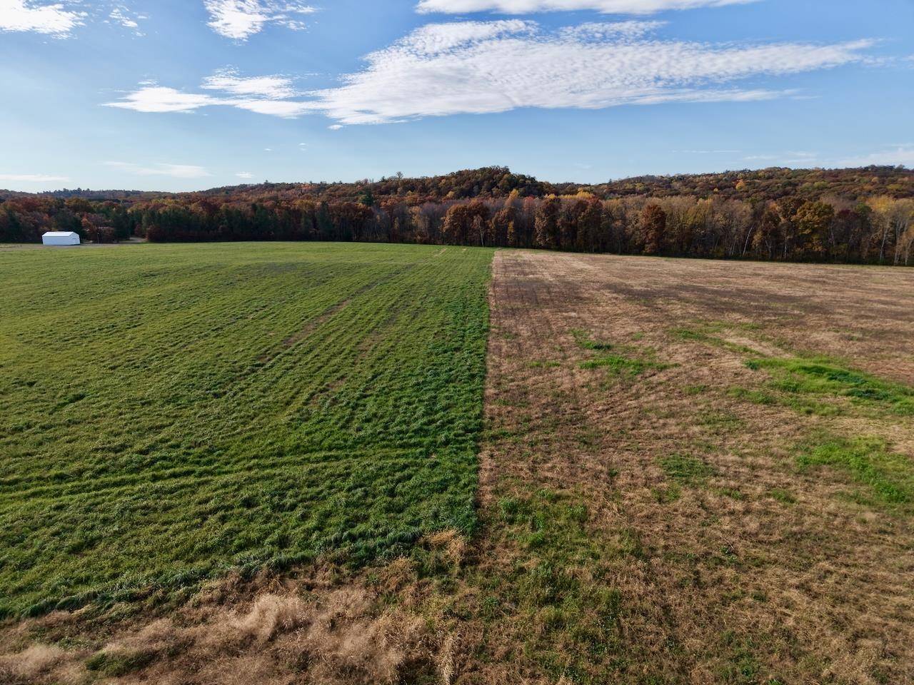 Fairchild, WI 54741,000 US Highway 10