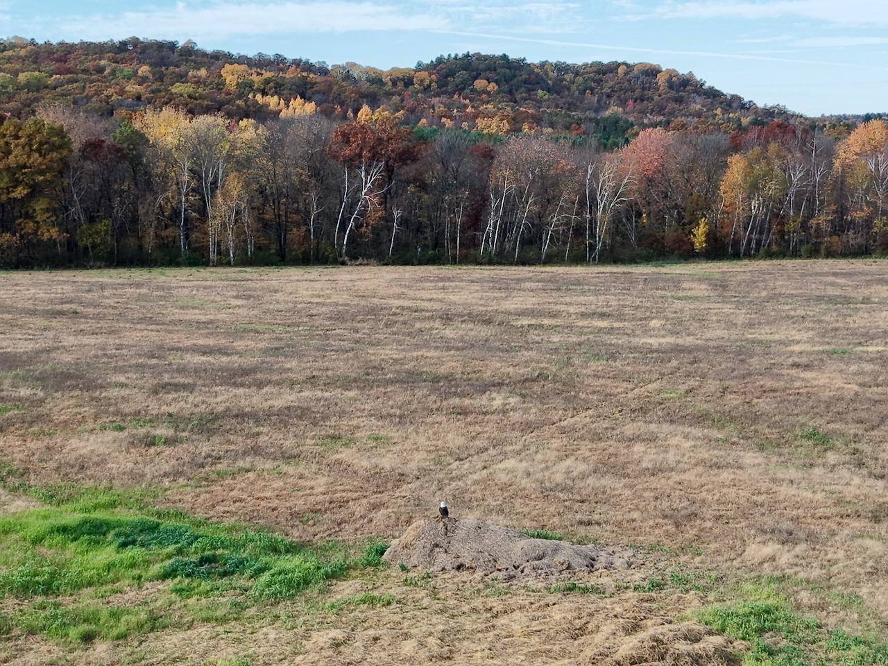 Fairchild, WI 54741,000 US Highway 10