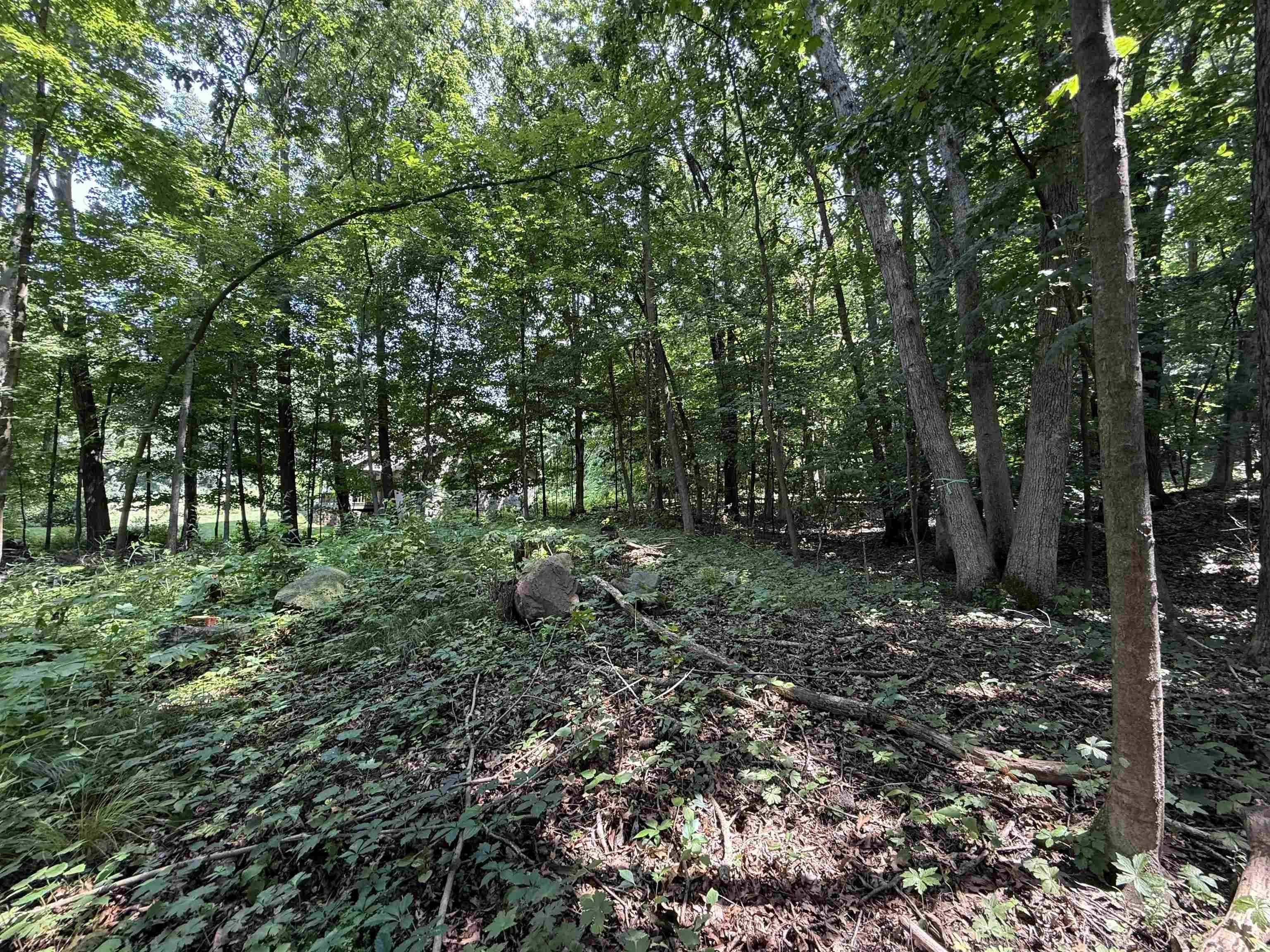 Baraboo, WI 53913,L52 Draper Street