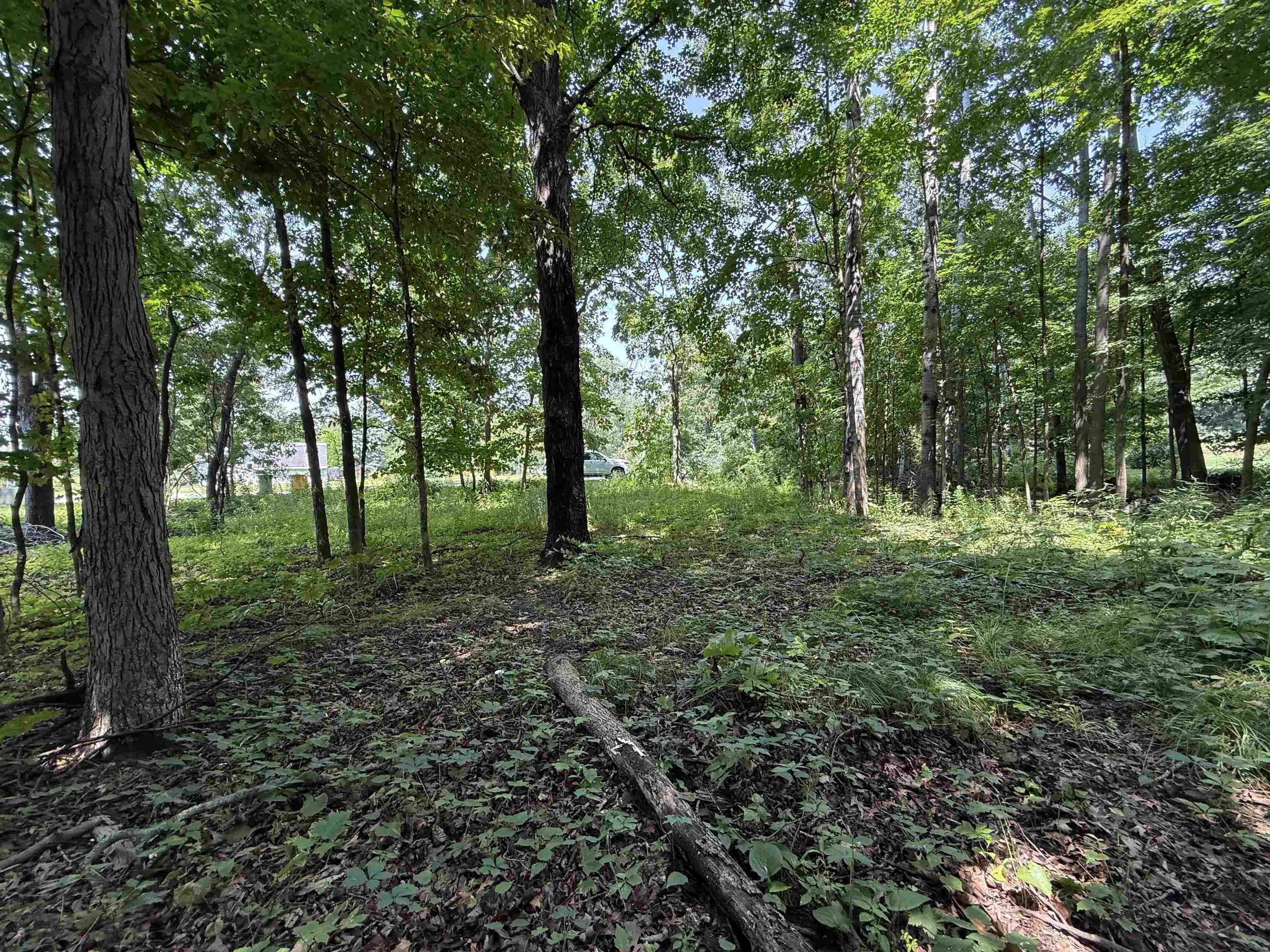 Baraboo, WI 53913,L52 Draper Street