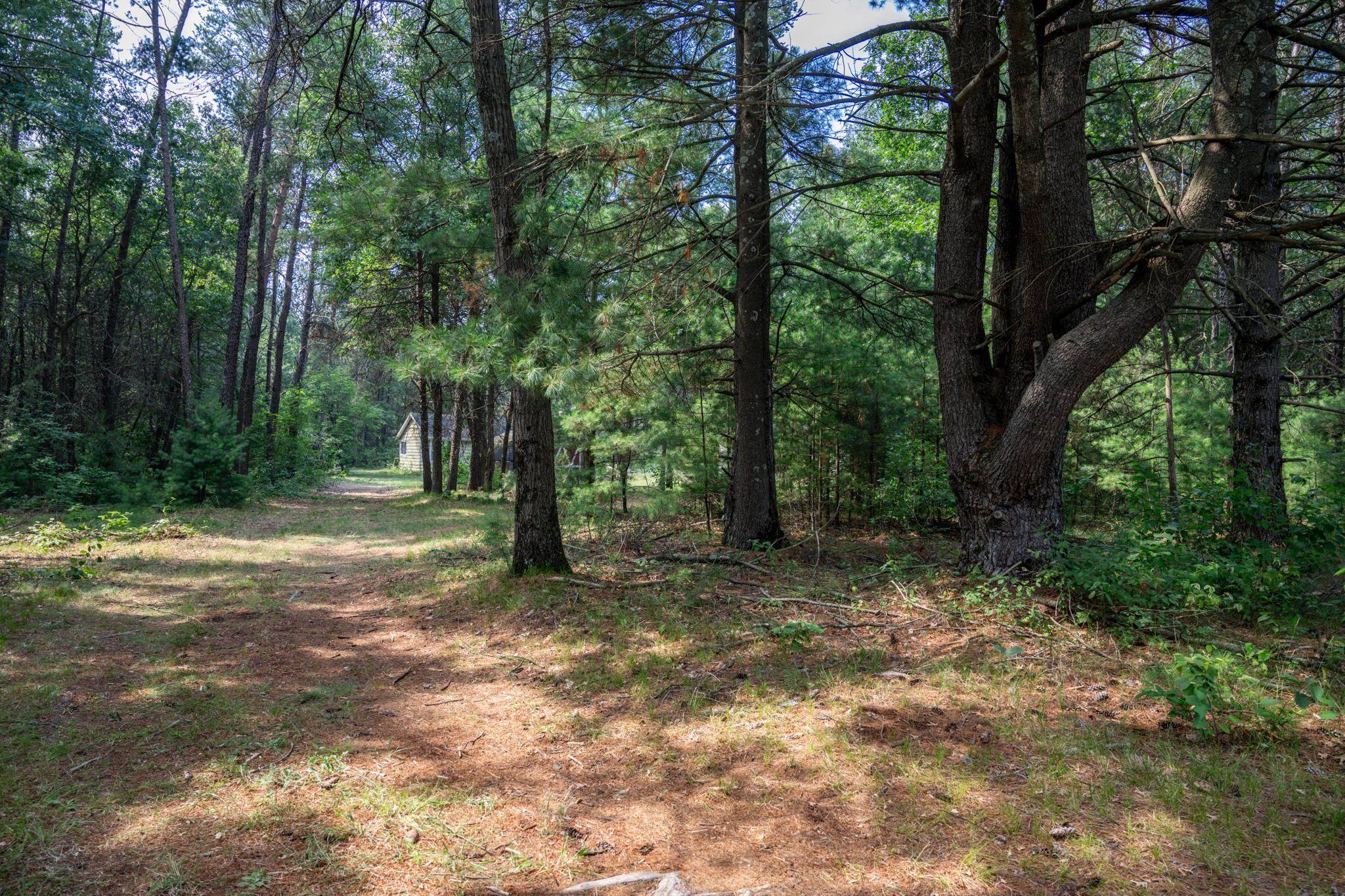 Necedah, WI 54646,N12503 County Road G