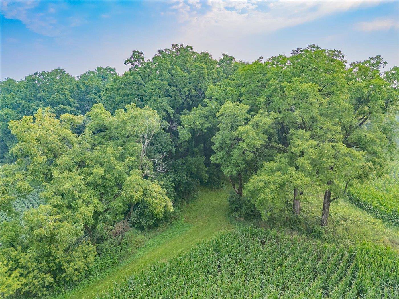 Brooklyn, WI 53521,Lot 1 Benson Road