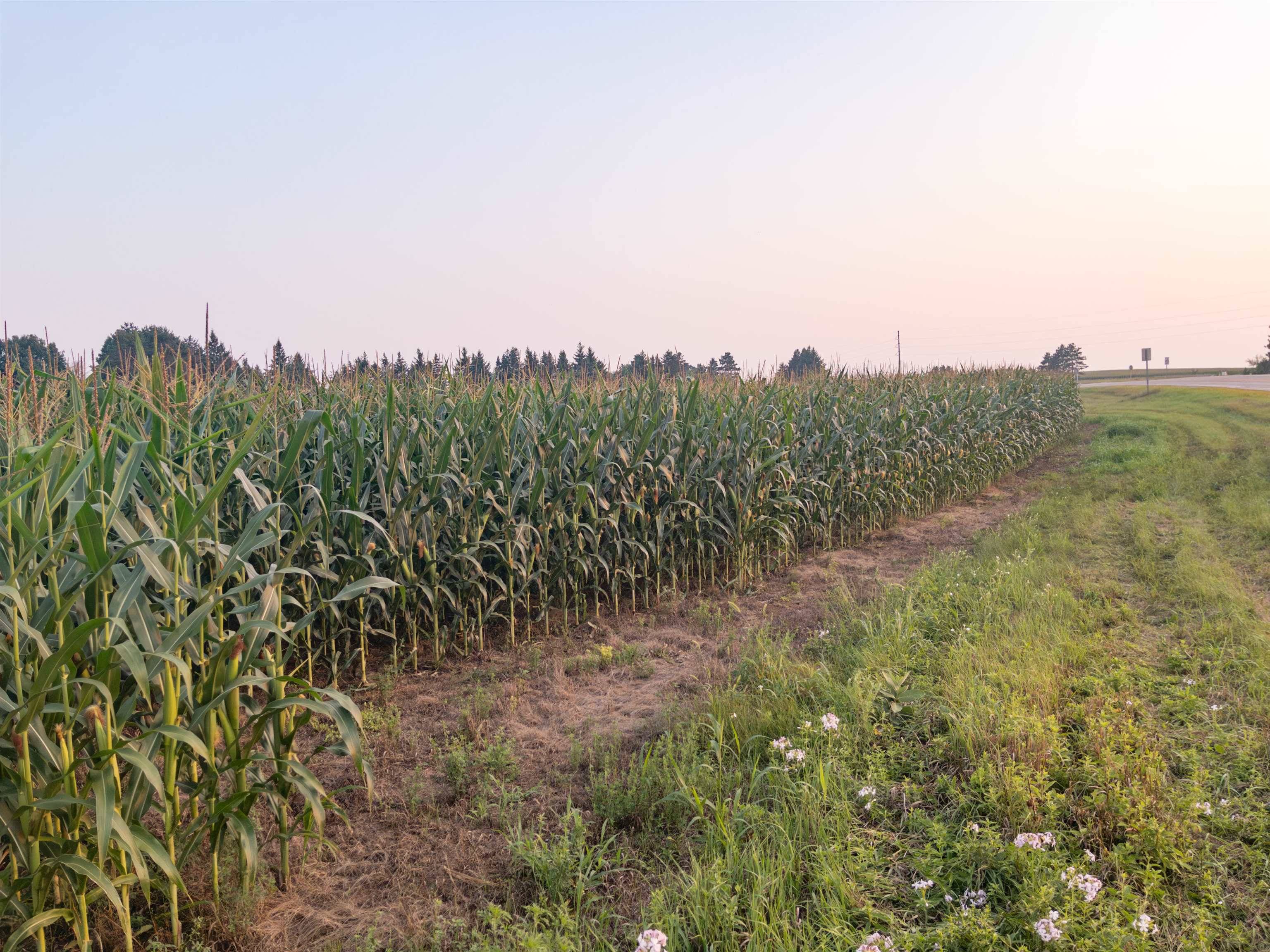Montello, WI 53949,Lot 1 CSM 3944 Highway 22