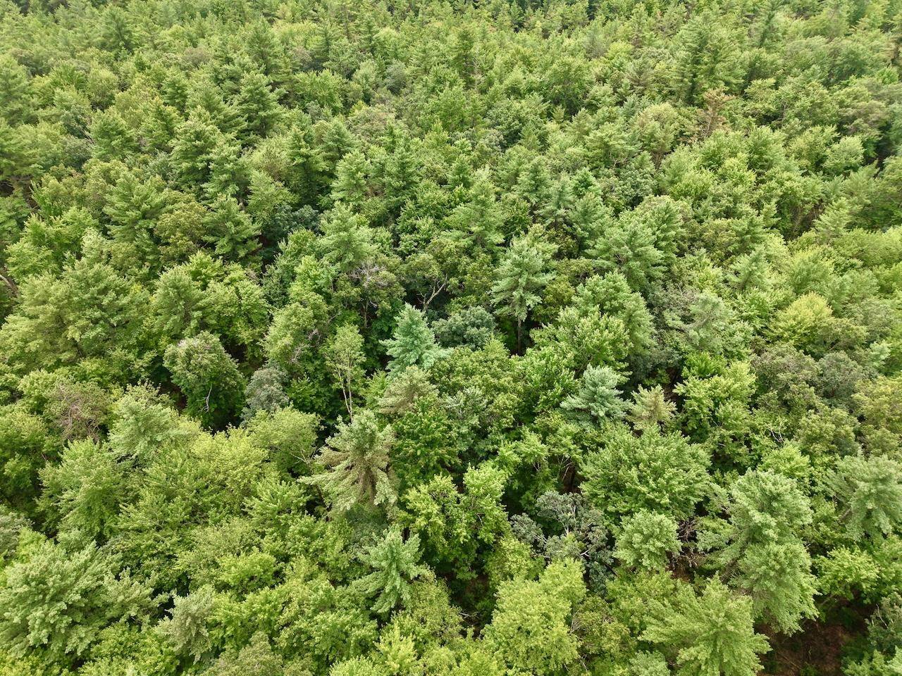 Warrens, WI 54666,000 Arrow Rd Road