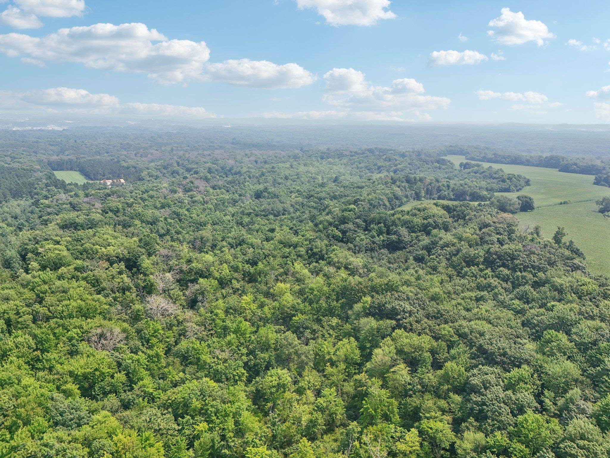 Wisconsin Dells, WI 53965,25.85 Ac Birchwood Road