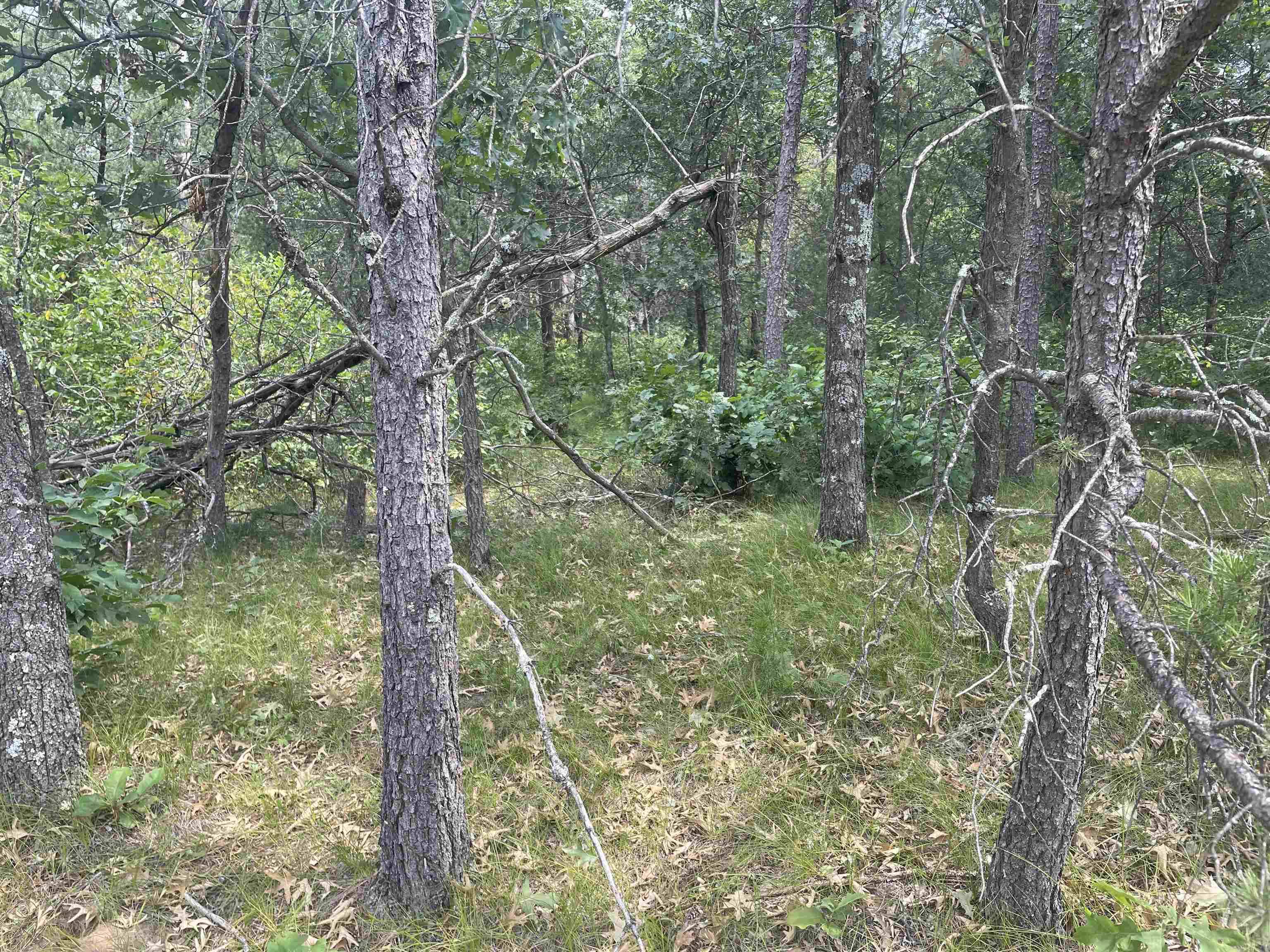 Nekoosa, WI 54457,1302 Birdie Trail