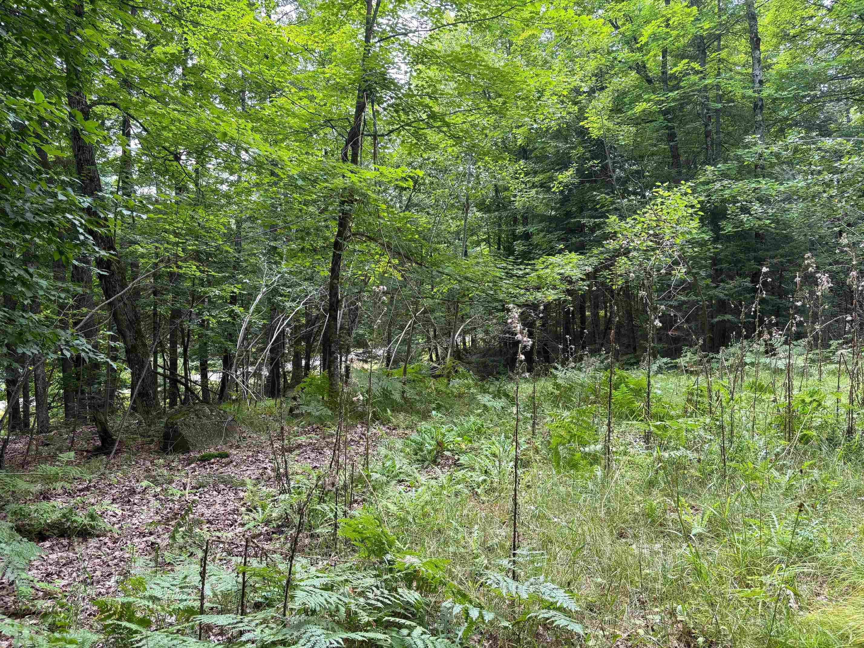 Rhinelander, WI 54501,30 acres E Oneida Lane