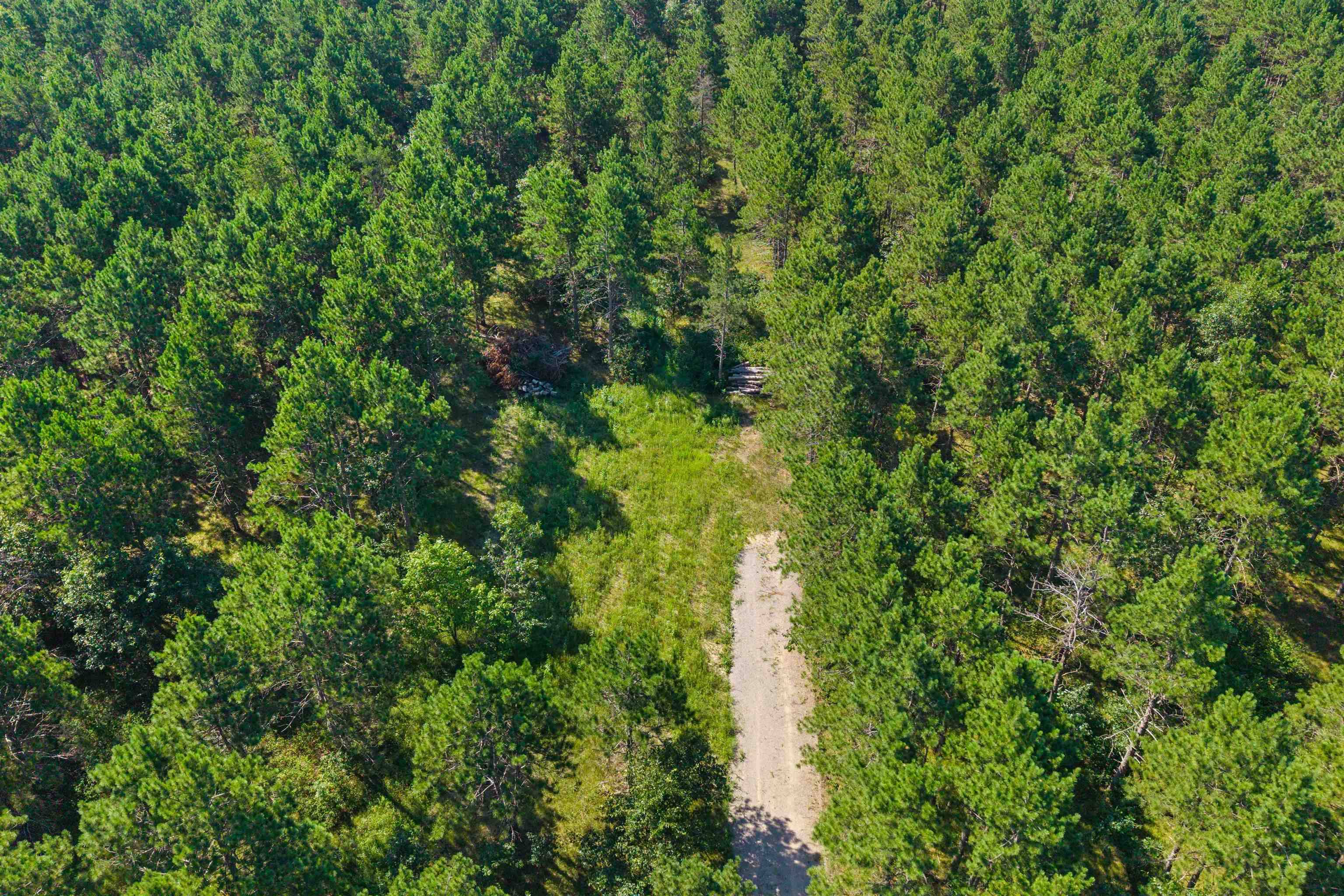 Nekoosa, WI 54457,1313 Alpine Drive