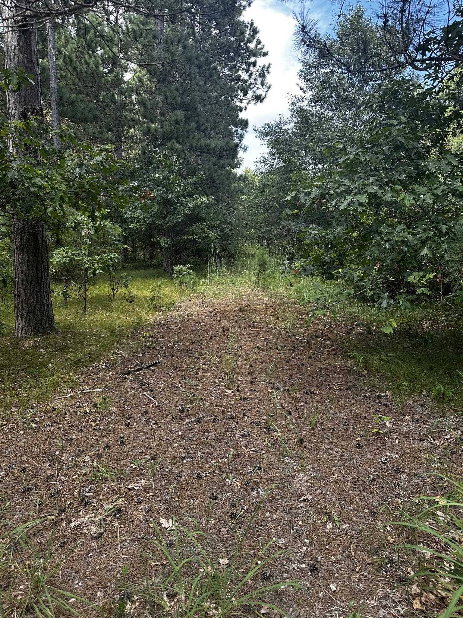 Hancock, WI 54943,676A Badger Drive