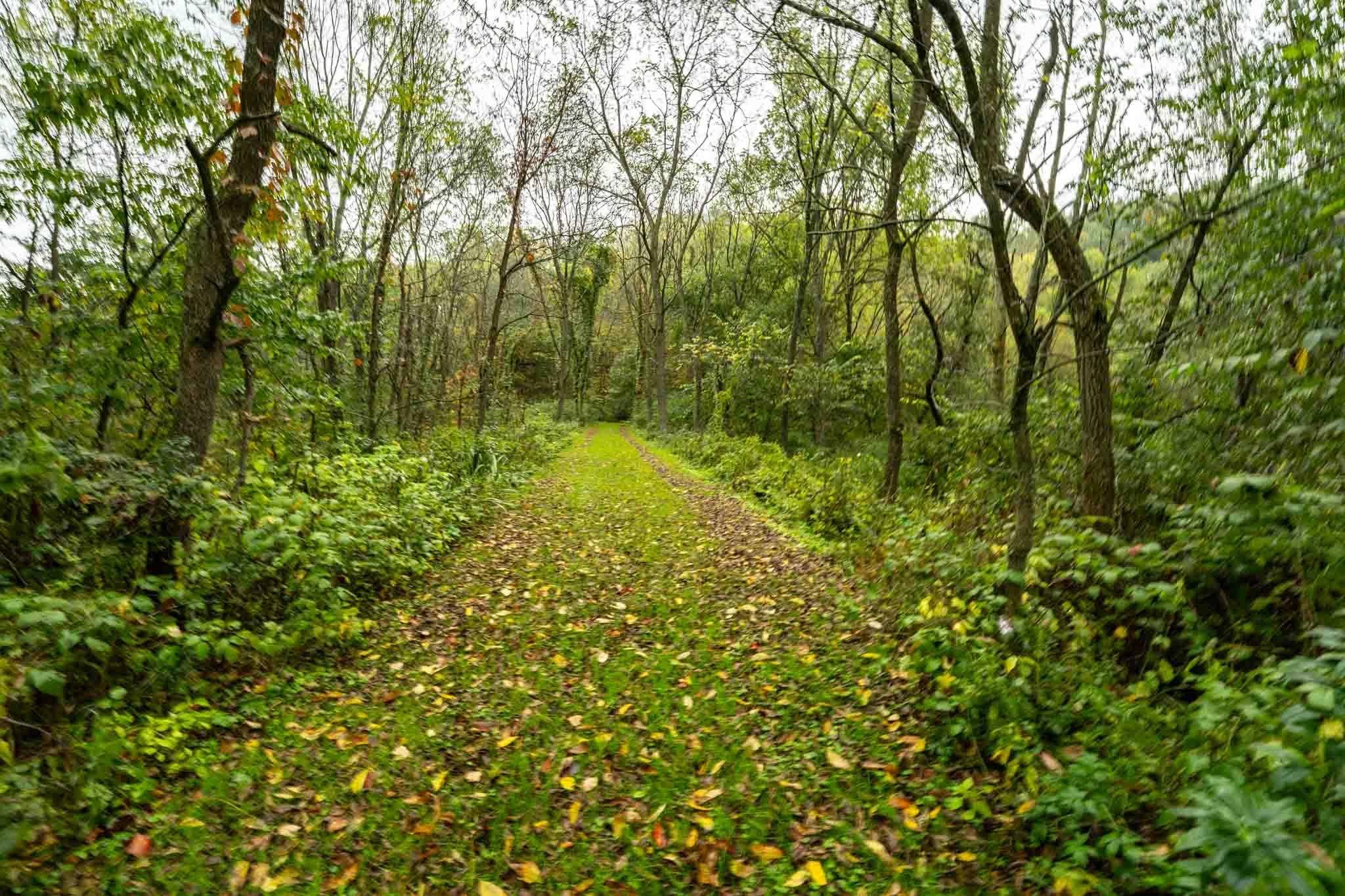 Viola, WI 54664,E11695 Chadwick Hollow Road