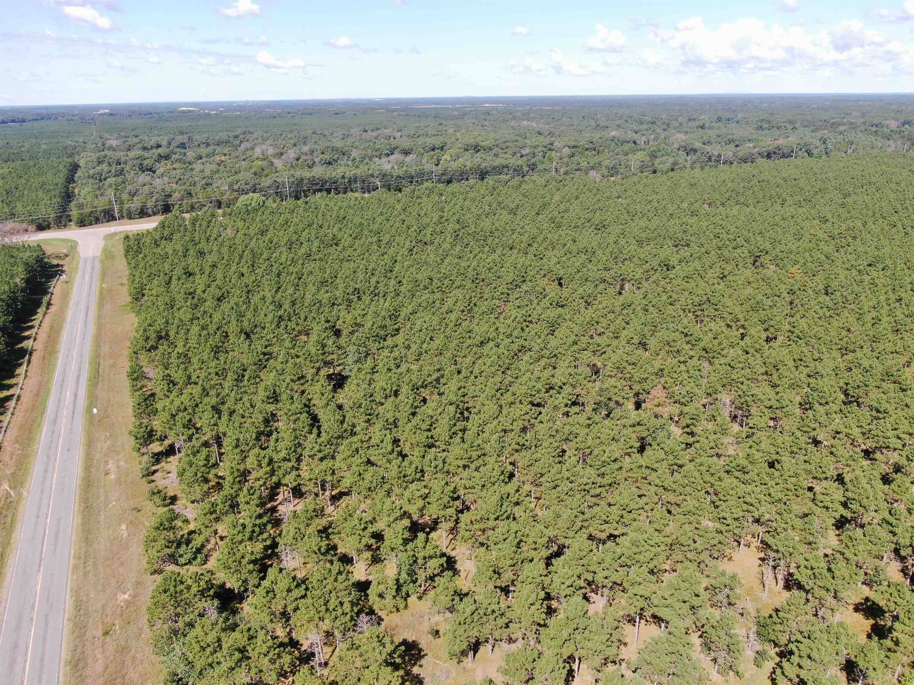 Nekoosa, WI 54457,37 AC State Highway 13 Acres