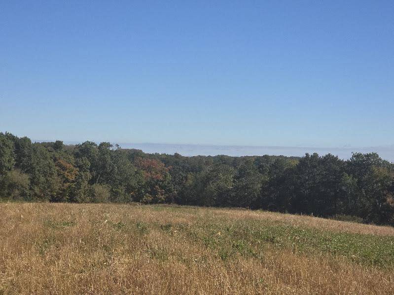 Wilton, WI 54670,Mimosa Road