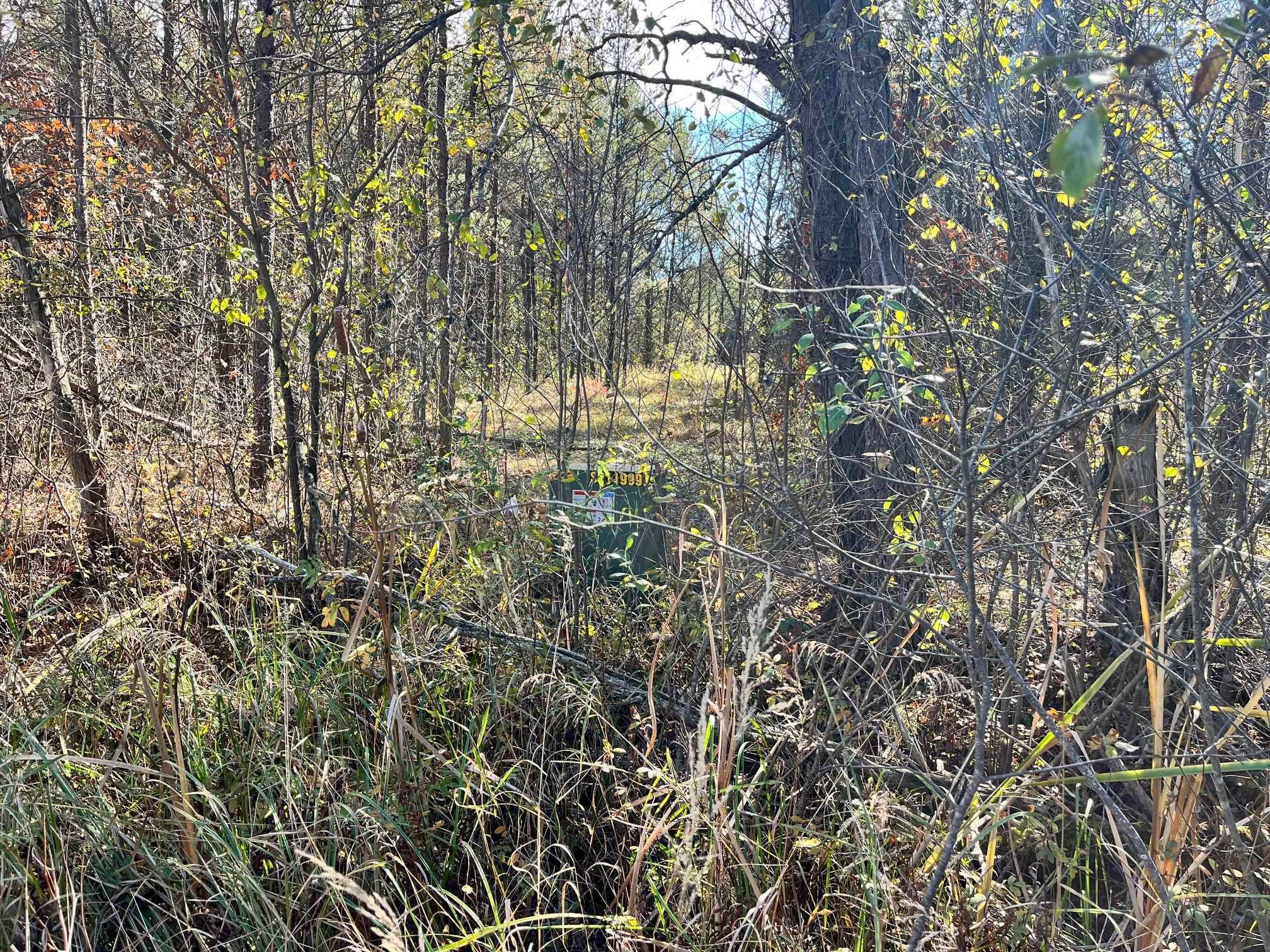 Nekoosa, WI 54457,1035 Beaver Avenue