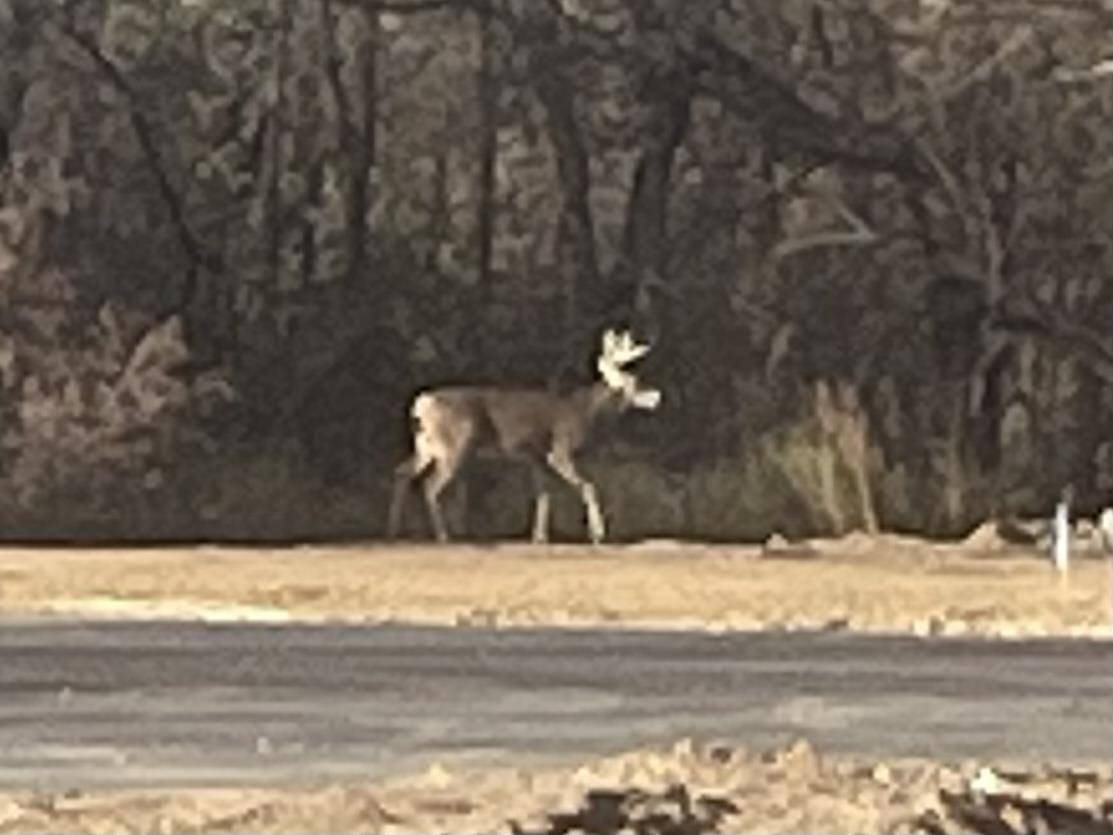 Janesville, WI 53545,1220 Prairie Avenue